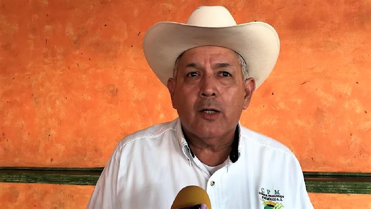Productores de caña prevén exportar más azúcar a Estados Unidos