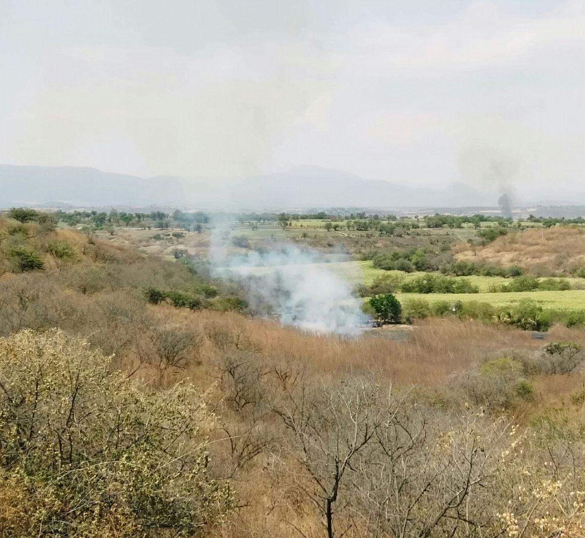 En Puente de Ixtla, se han registrado cerca de diez incendios forestales en lo que va del mes