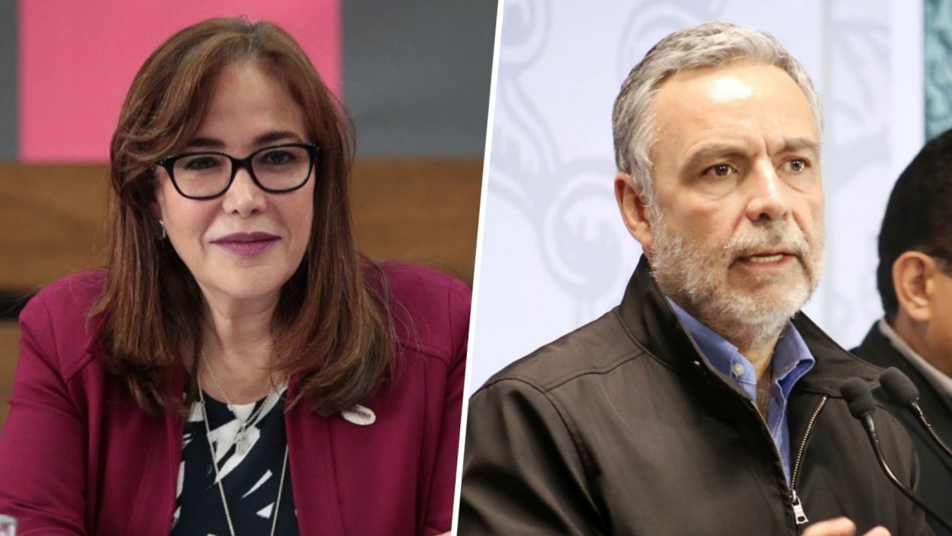 Polevnsky y Ramírez Cuéllar, el liderazgo de Morena está en disputa