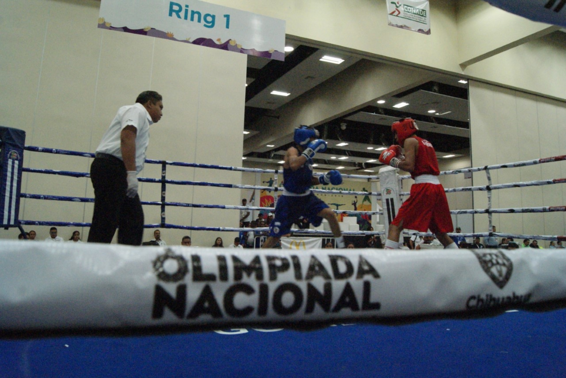 Boxeadores regresan con las manos vacías de Olimpiada Nacional