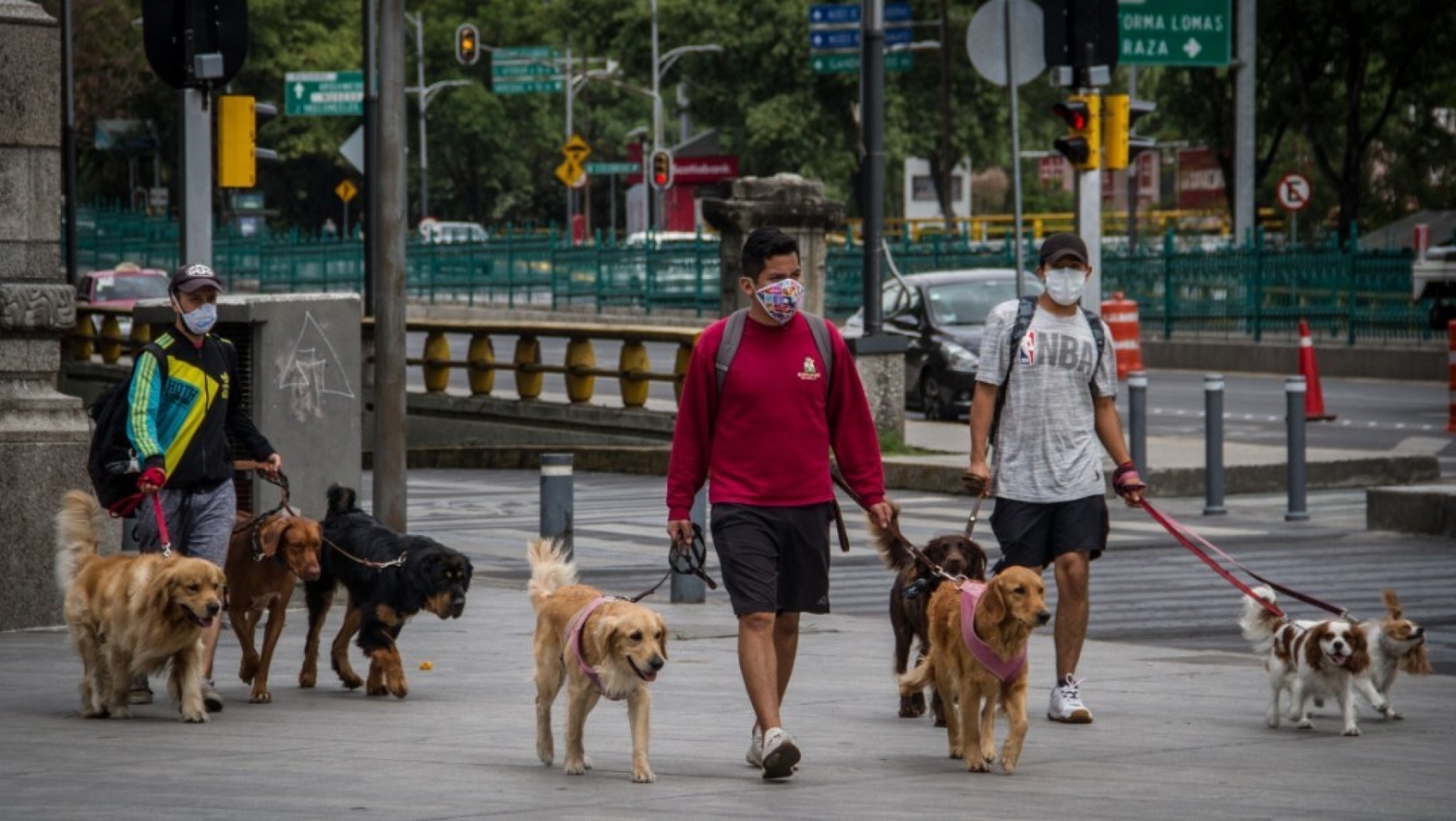 En CDMX será sancionado pasear a perros sin correa