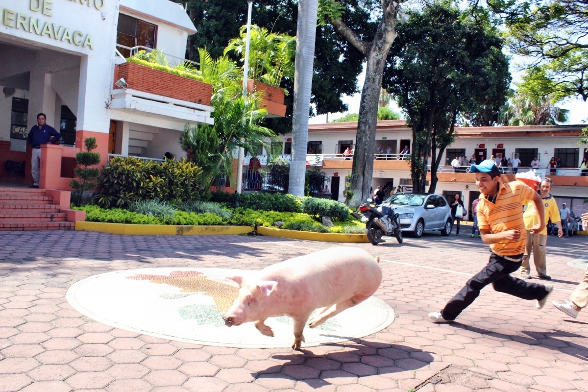 Con animales, protestan por suspensión de actividades en rastro municipal