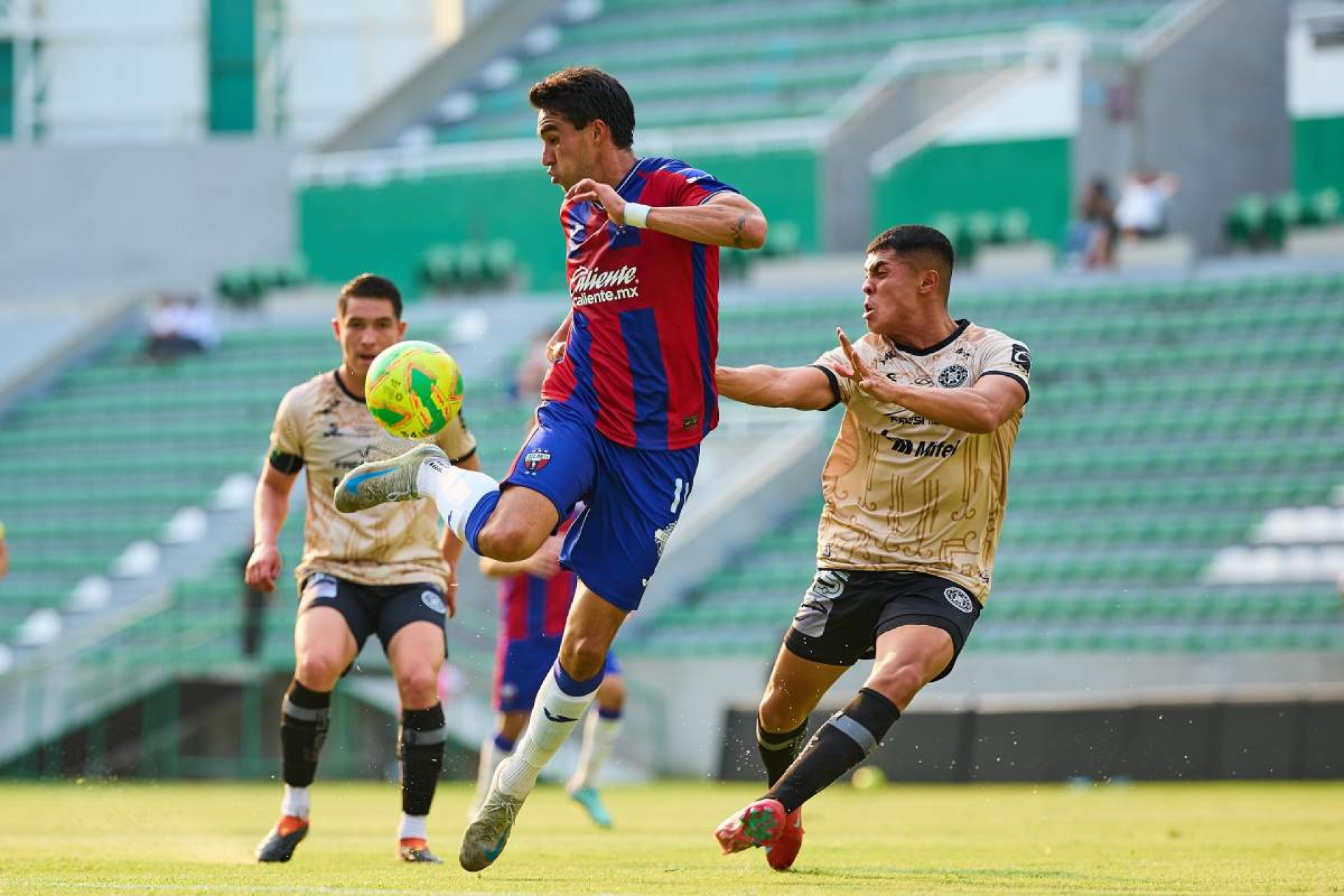 Siguen de líderes