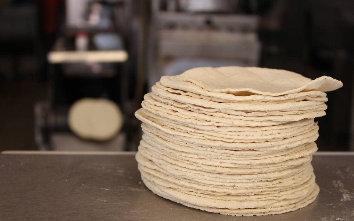 Precio de tortilla podría llegar a los 24 pesos por kilo, alertan productores