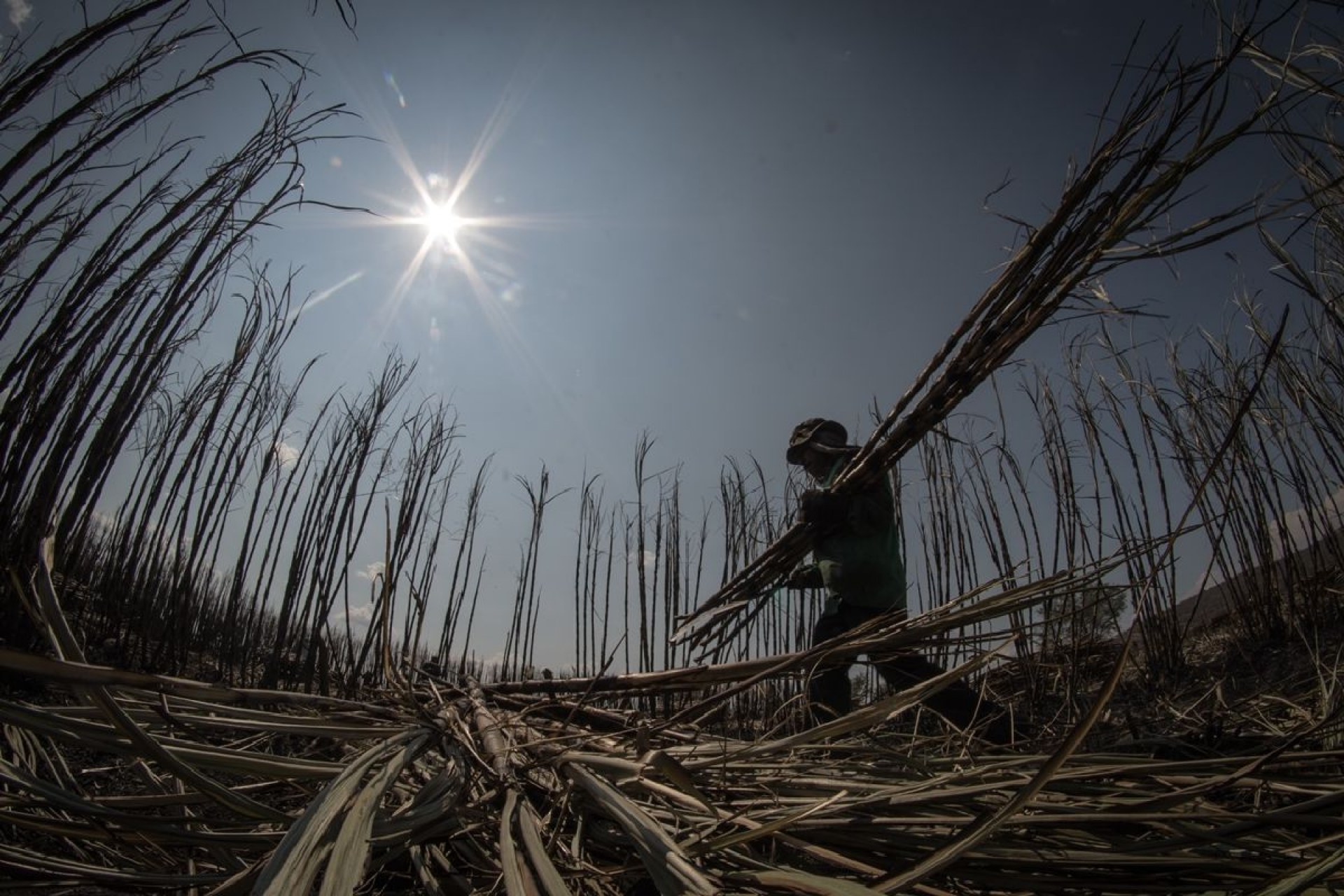 Pide Sedagro evitar quemas agrícolas
