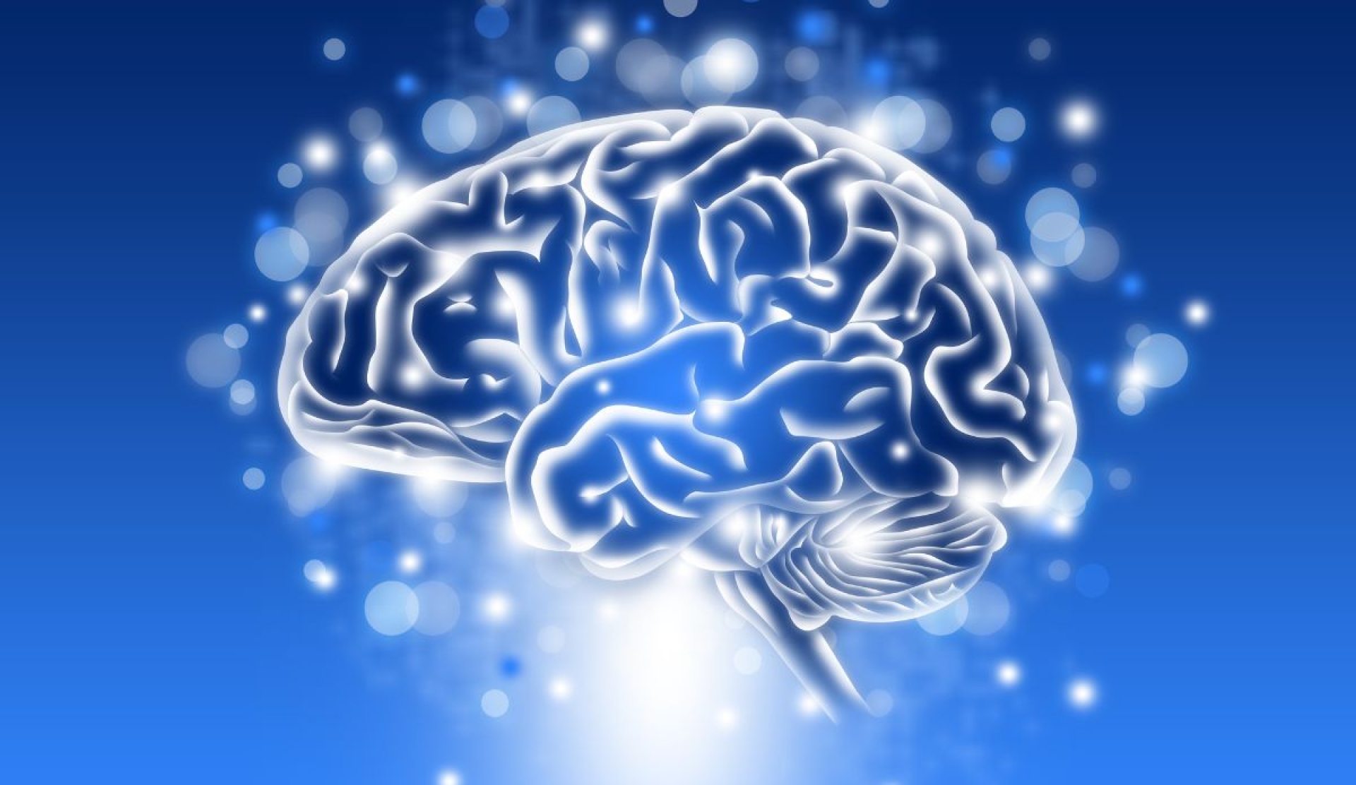 Día mundial del cerebro: Un llamado al cuidado y la conciencia