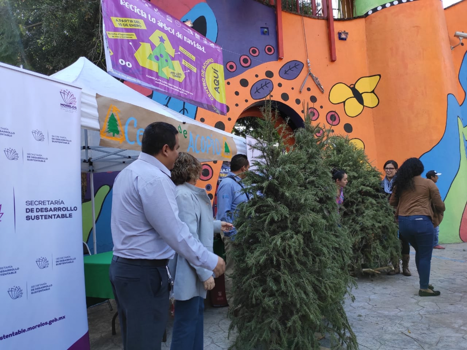 Lanza SDS campaña de reciclaje de árboles de Navidad