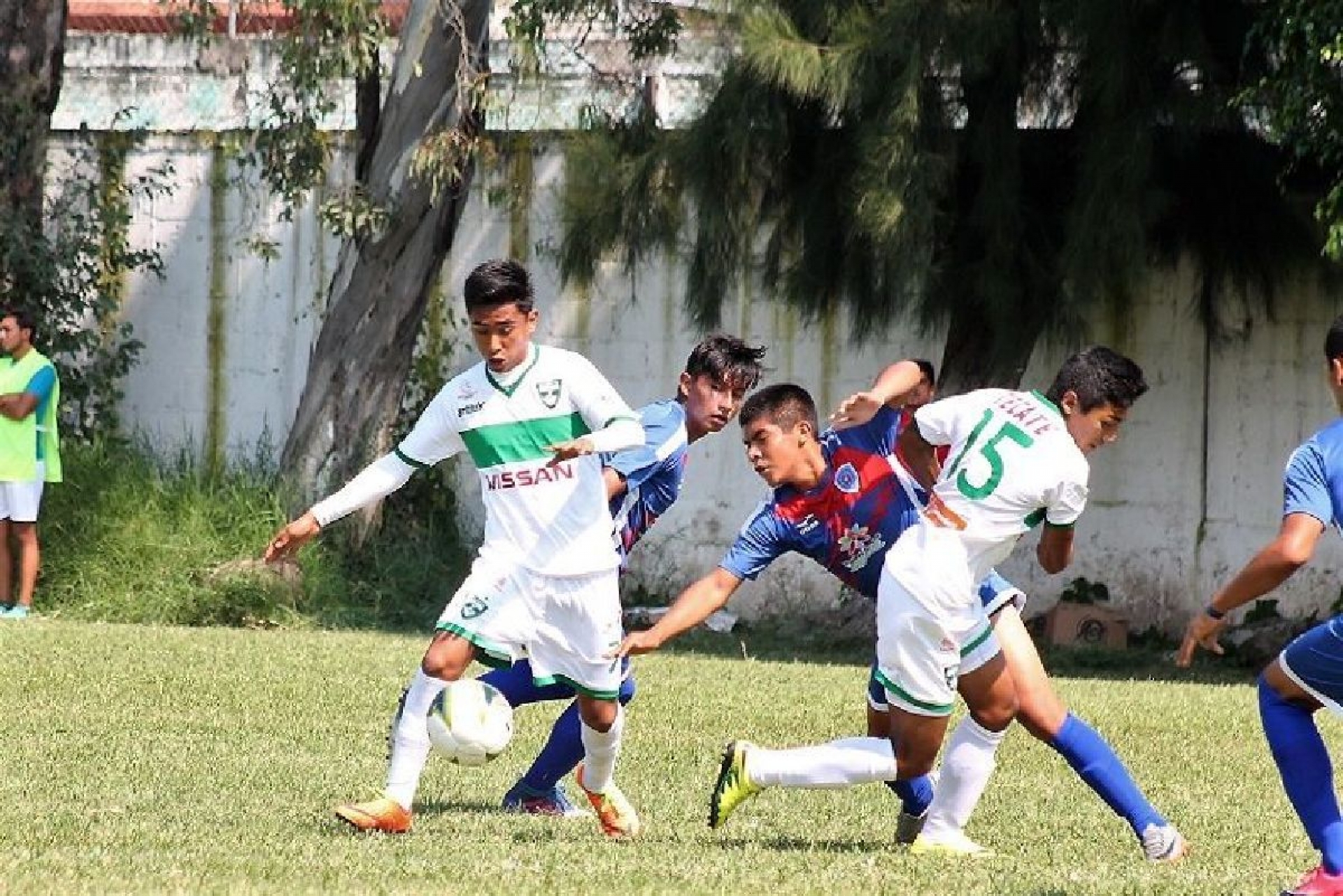 Selva Cañera, por los tres puntos ante Lobos BUAP