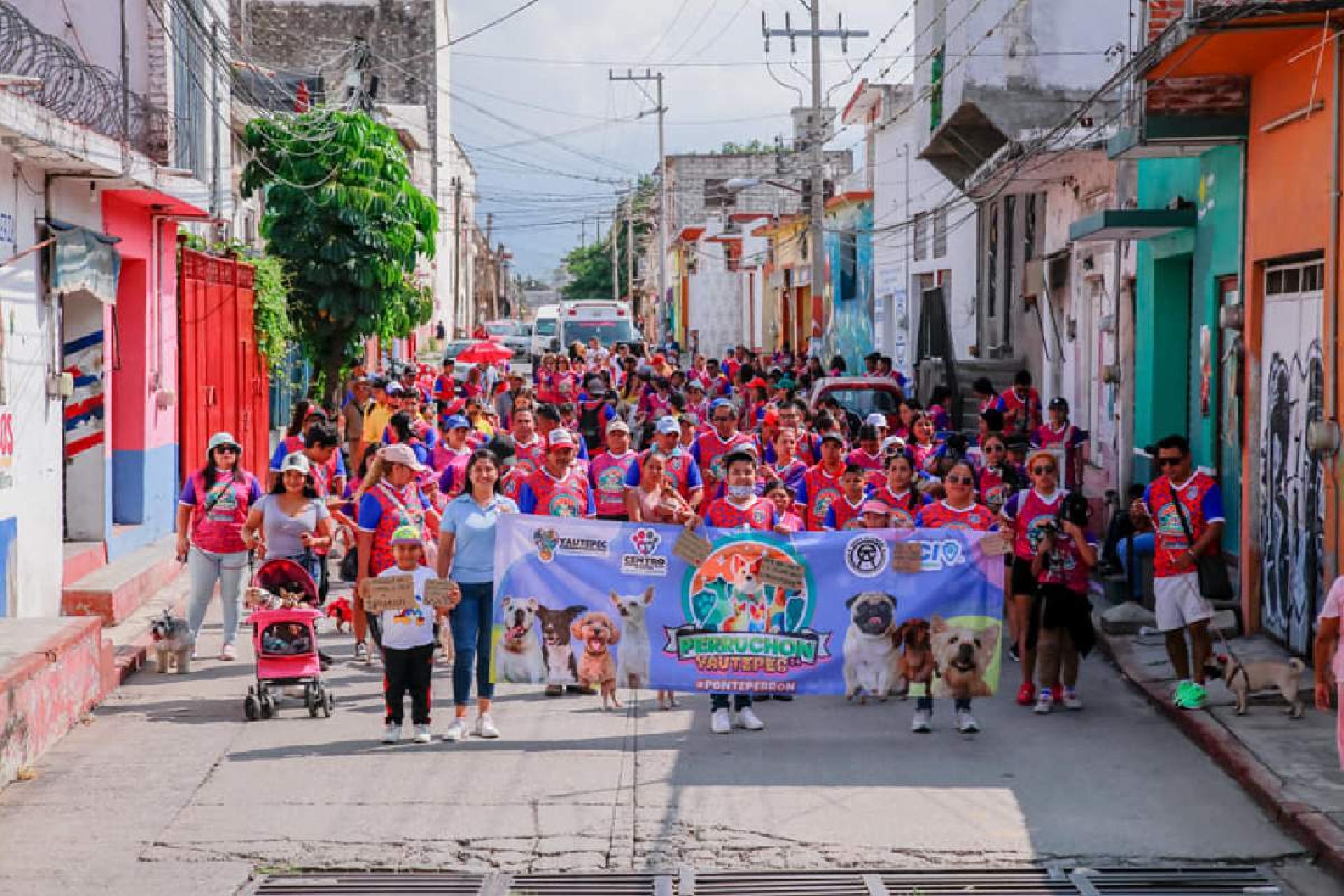 Impulsan campaña de esterilización de mascotas en Yautepec
