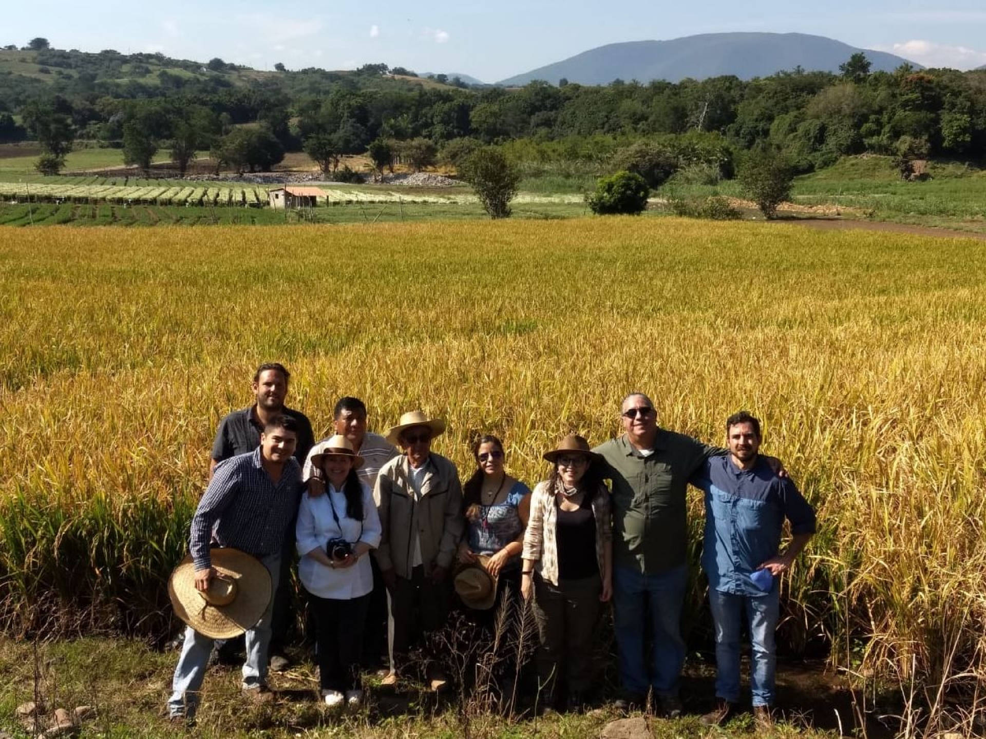El molino de arroz Gloria de Morelos y el arroz “Garza de Oro”