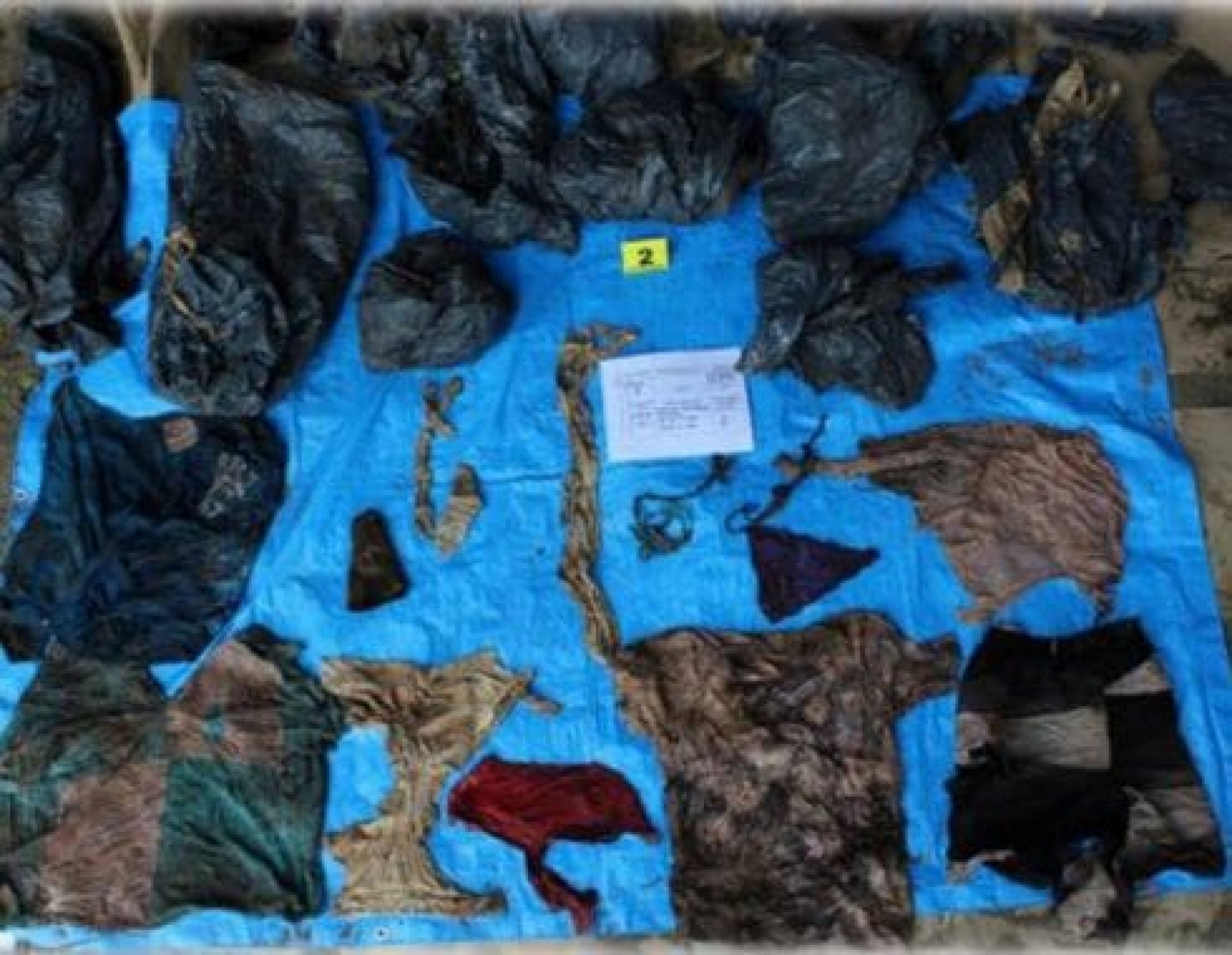 Hallan la segunda fosa clandestina más grande de Veracruz, contiene 166 cuerpos