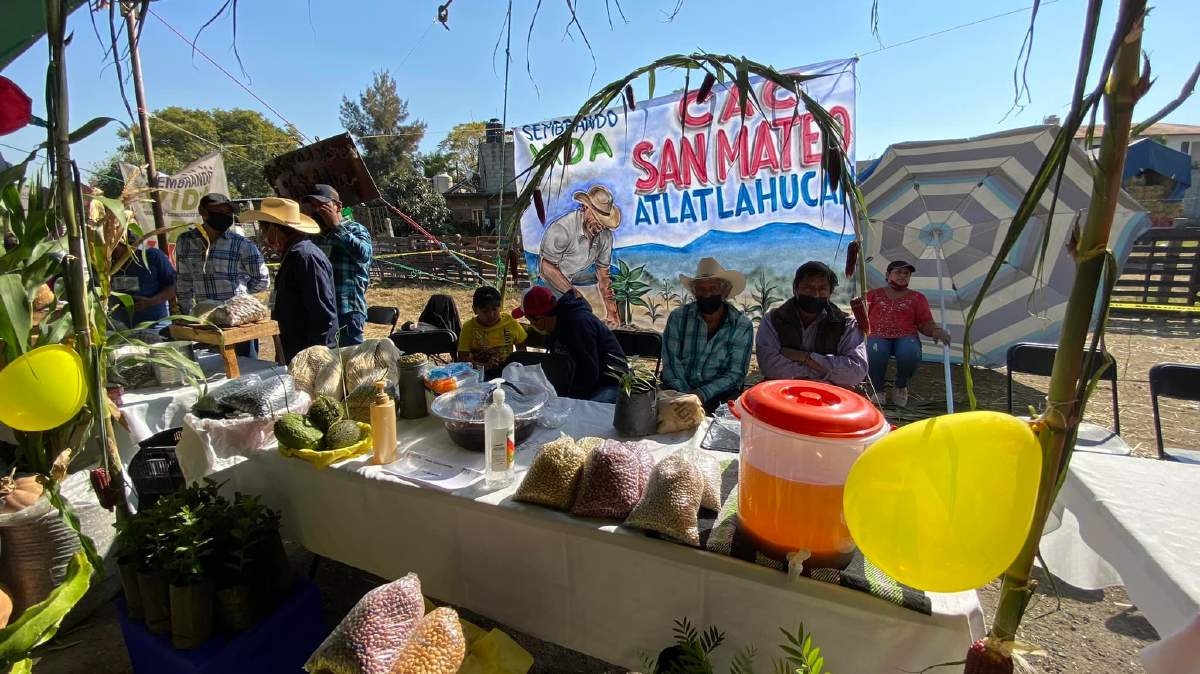 Impulsan tianguis campesino en Yecapixtla