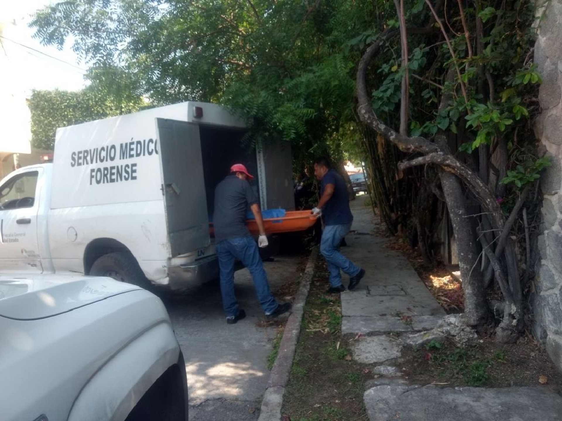 Un jardinero falleció al caerse de una escalera, en Las Palmas