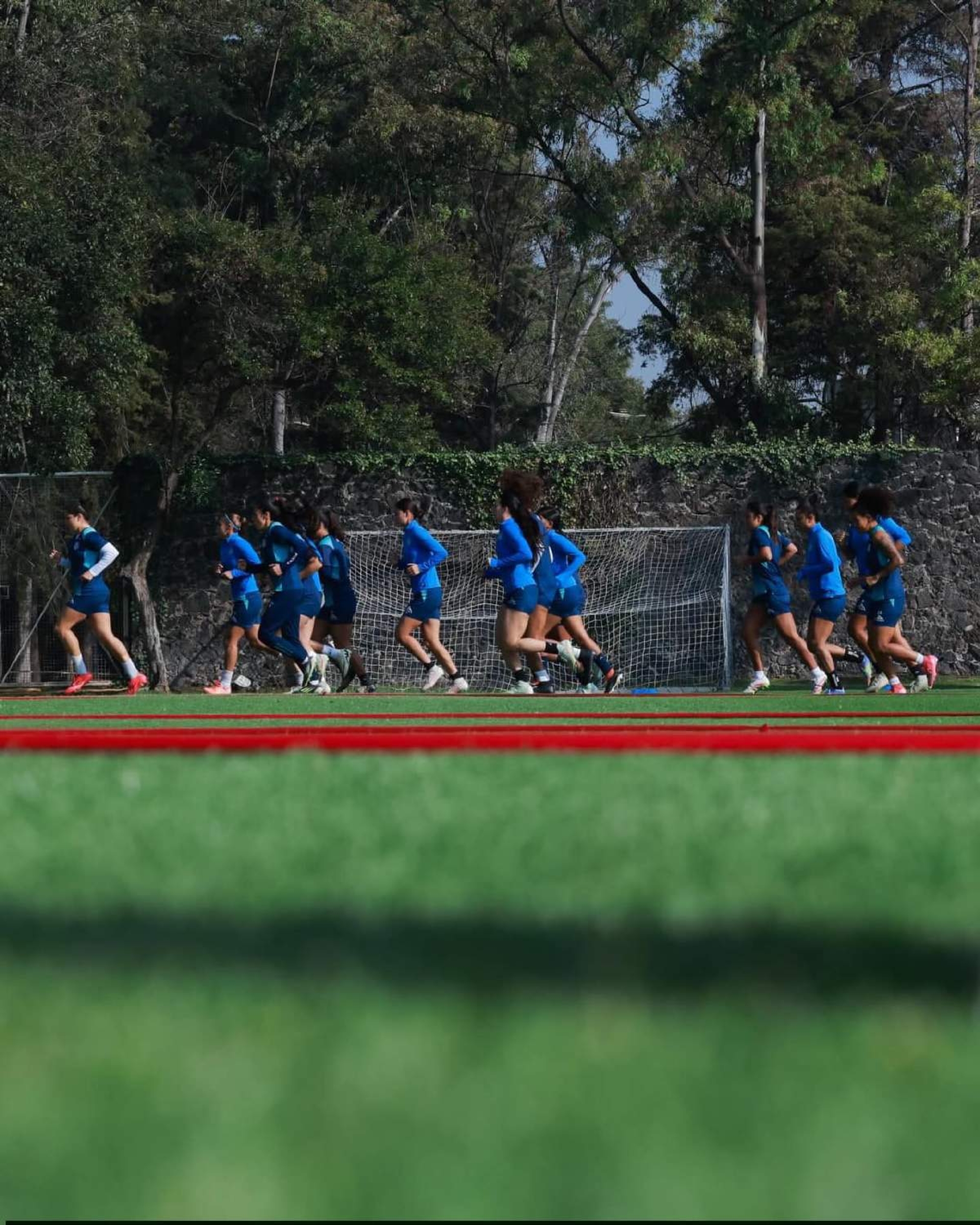 Llegarían a Morelos