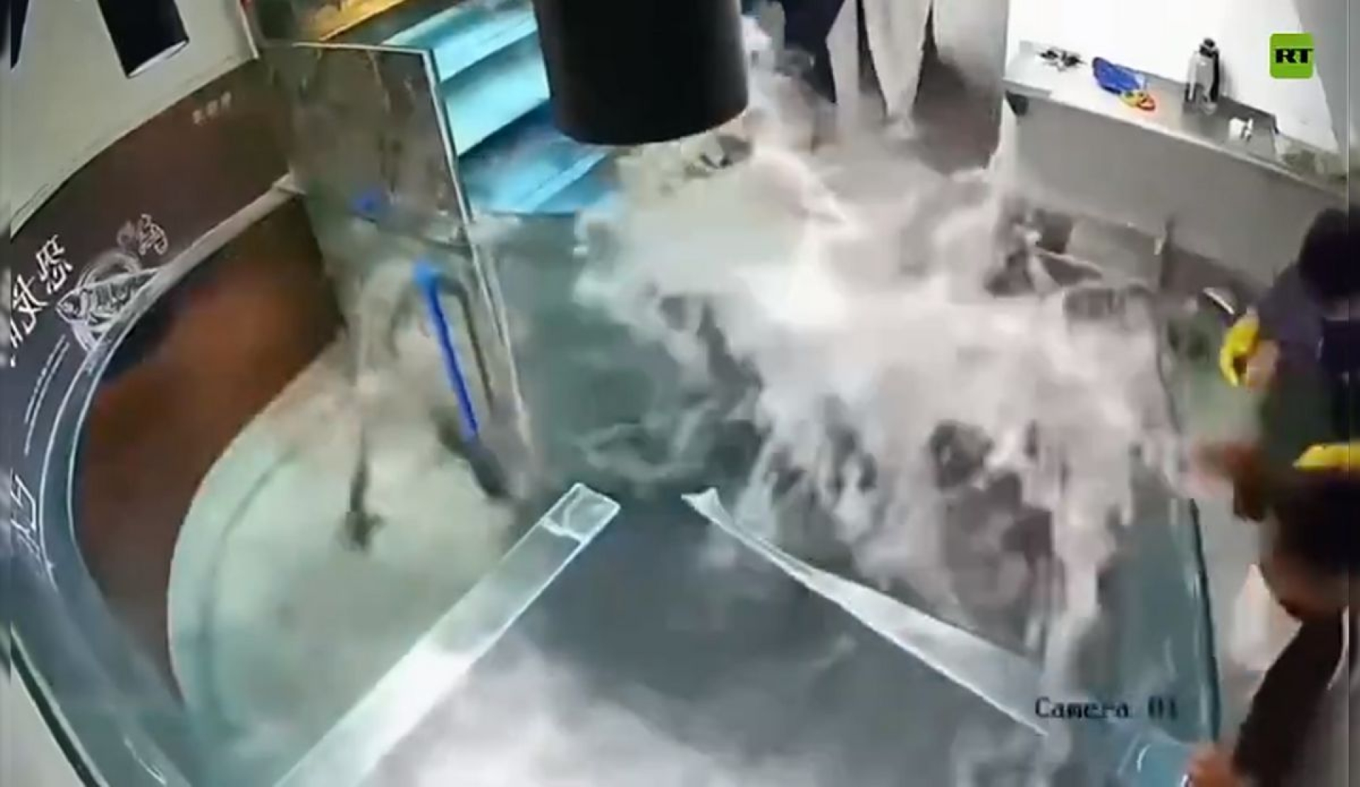 Viral: acuario estalla en restaurante y sorprende a clientes y personal