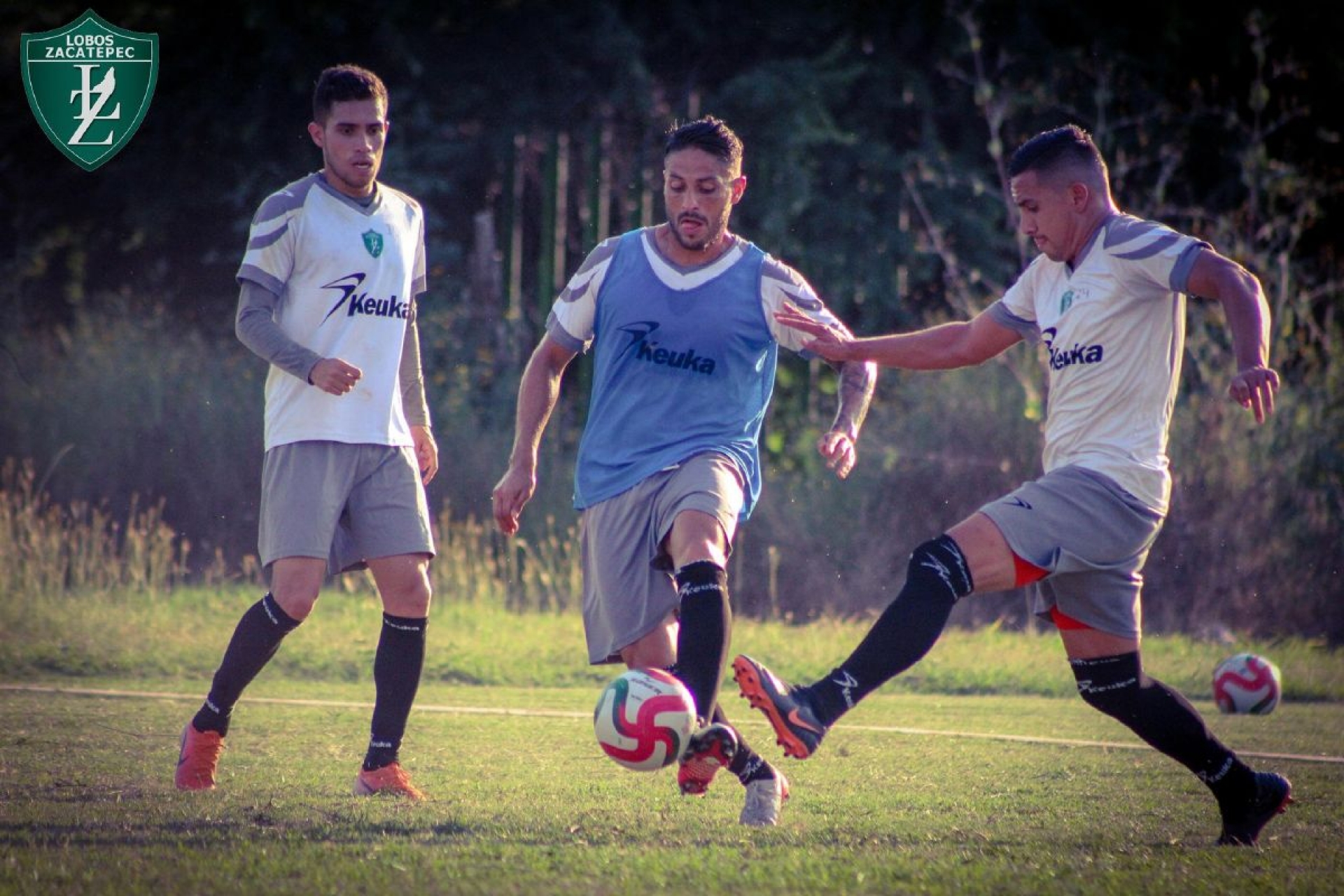 Desaparece Lobos Zacatepec