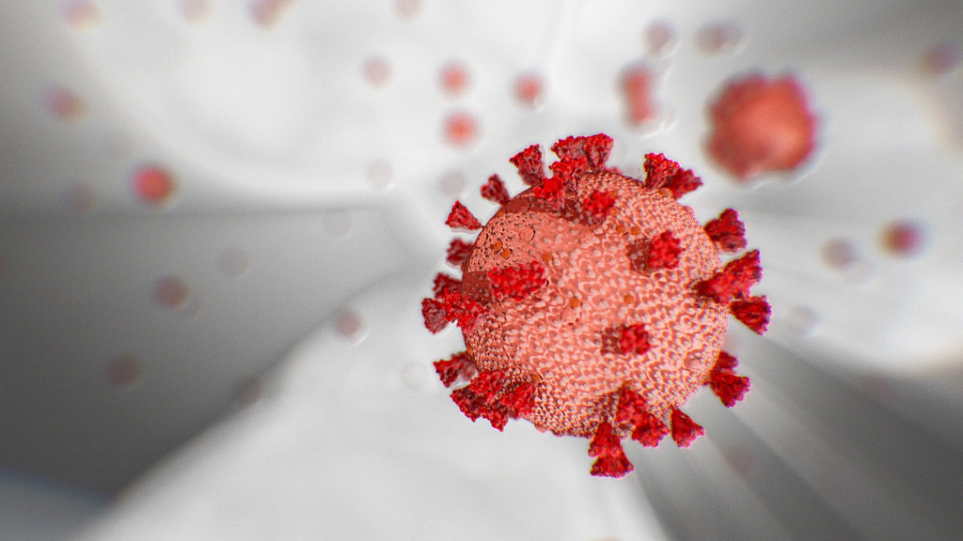 Síntomas del coronavirus: 10 indicadores clave y qué hacer