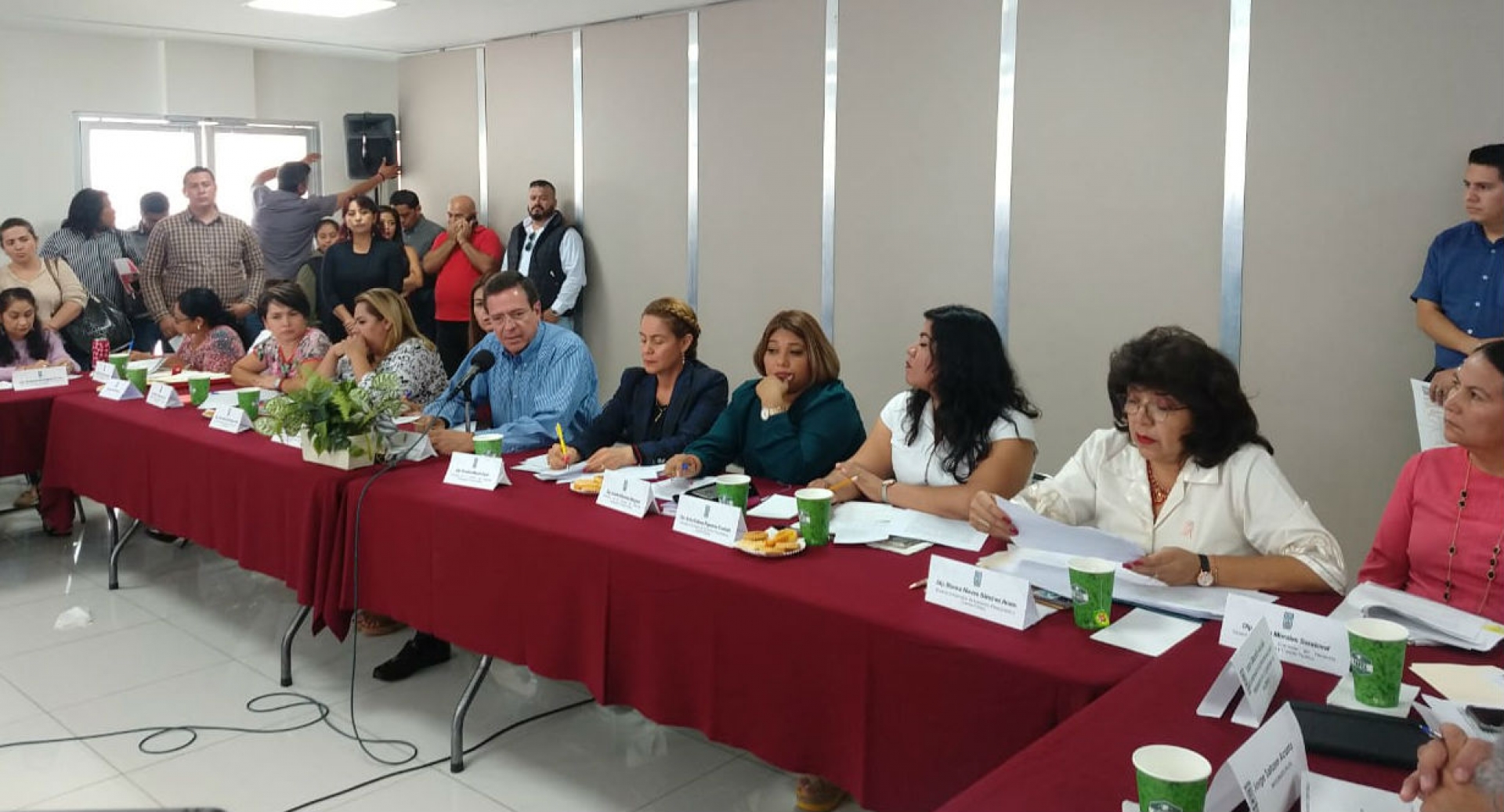Comparece Alejandro Villarreal ante Comisión de Hacienda del Congreso