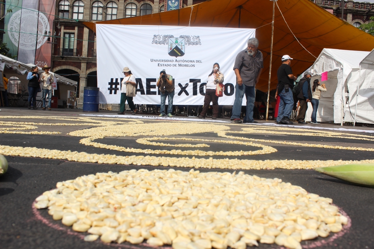Anuncian marcha nacional contra recorte presupuestal al campo
