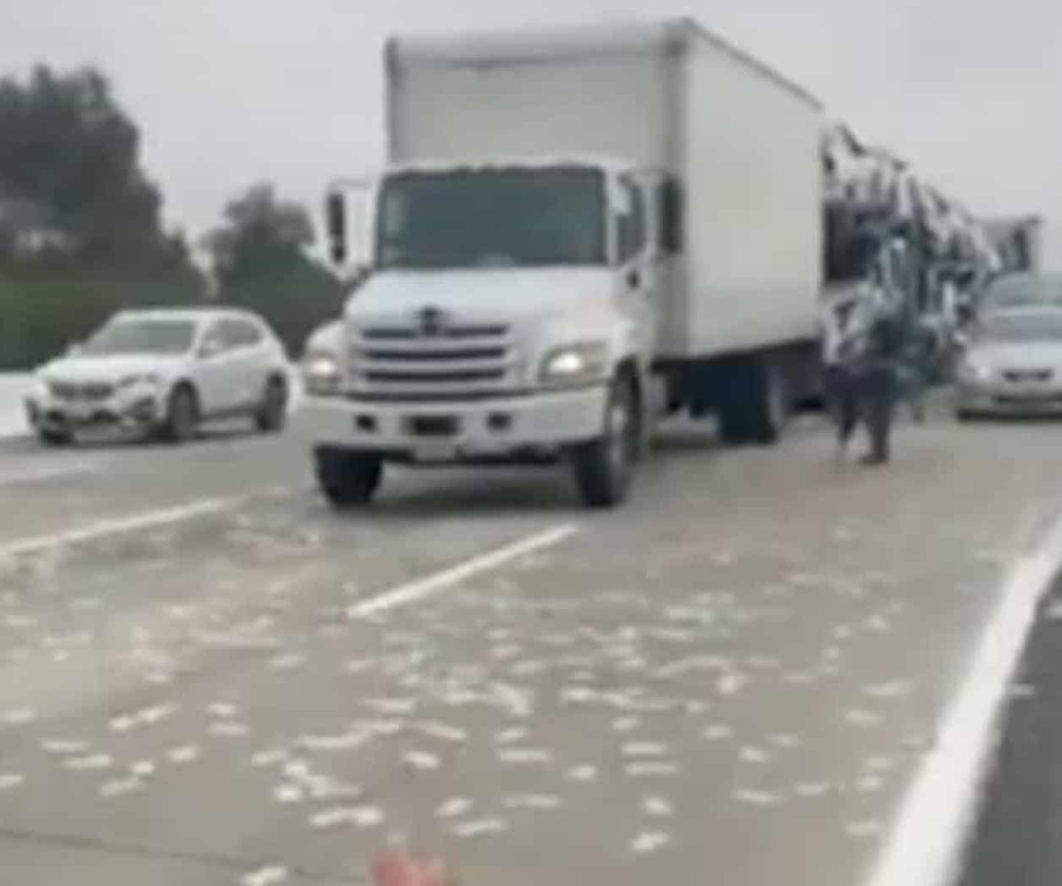 Camión lanza fajos de dinero en carretera y causa alboroto