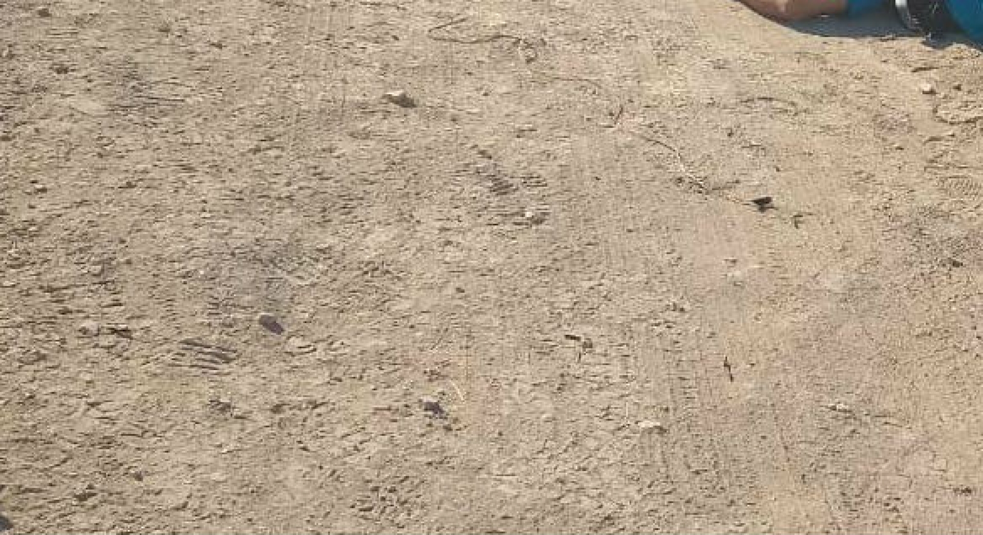 Encuentran el cadáver de un hombre en un camino de terracería, en Jojutla