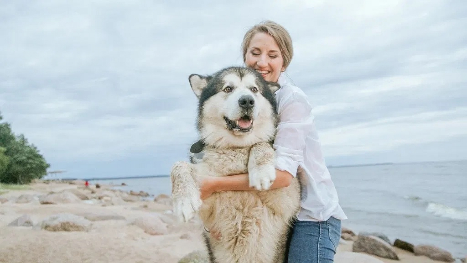 ¿Perro o perrhijo? Señales de que lo estás consintiendo de más