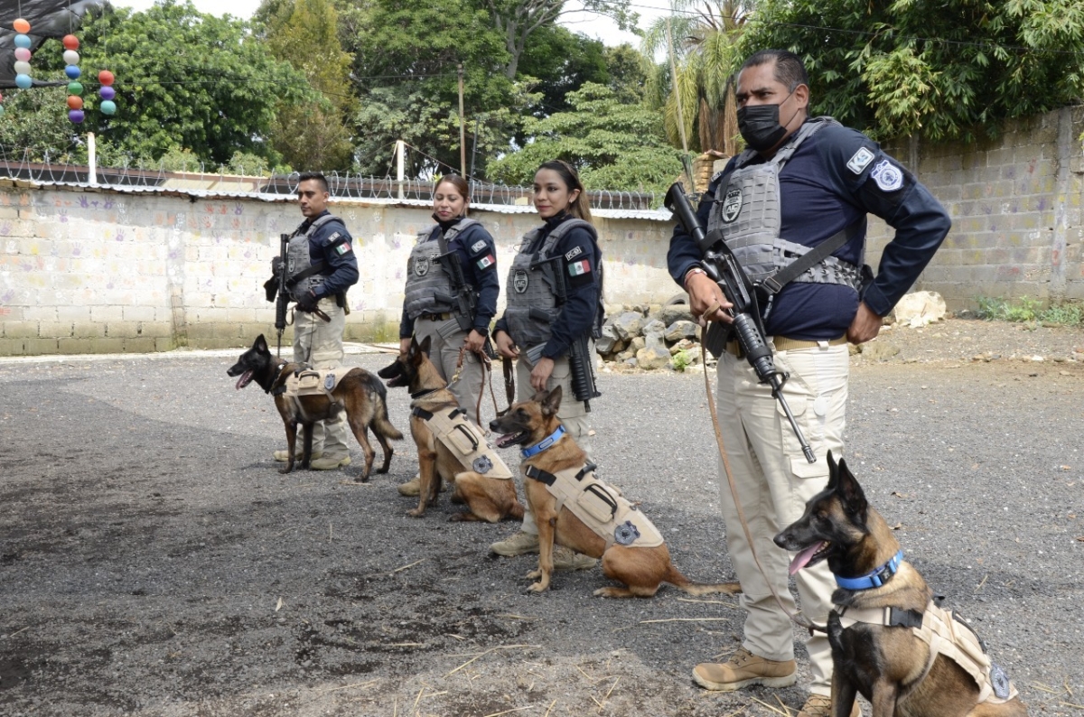 Realizan 'Seminario de formación de perros'