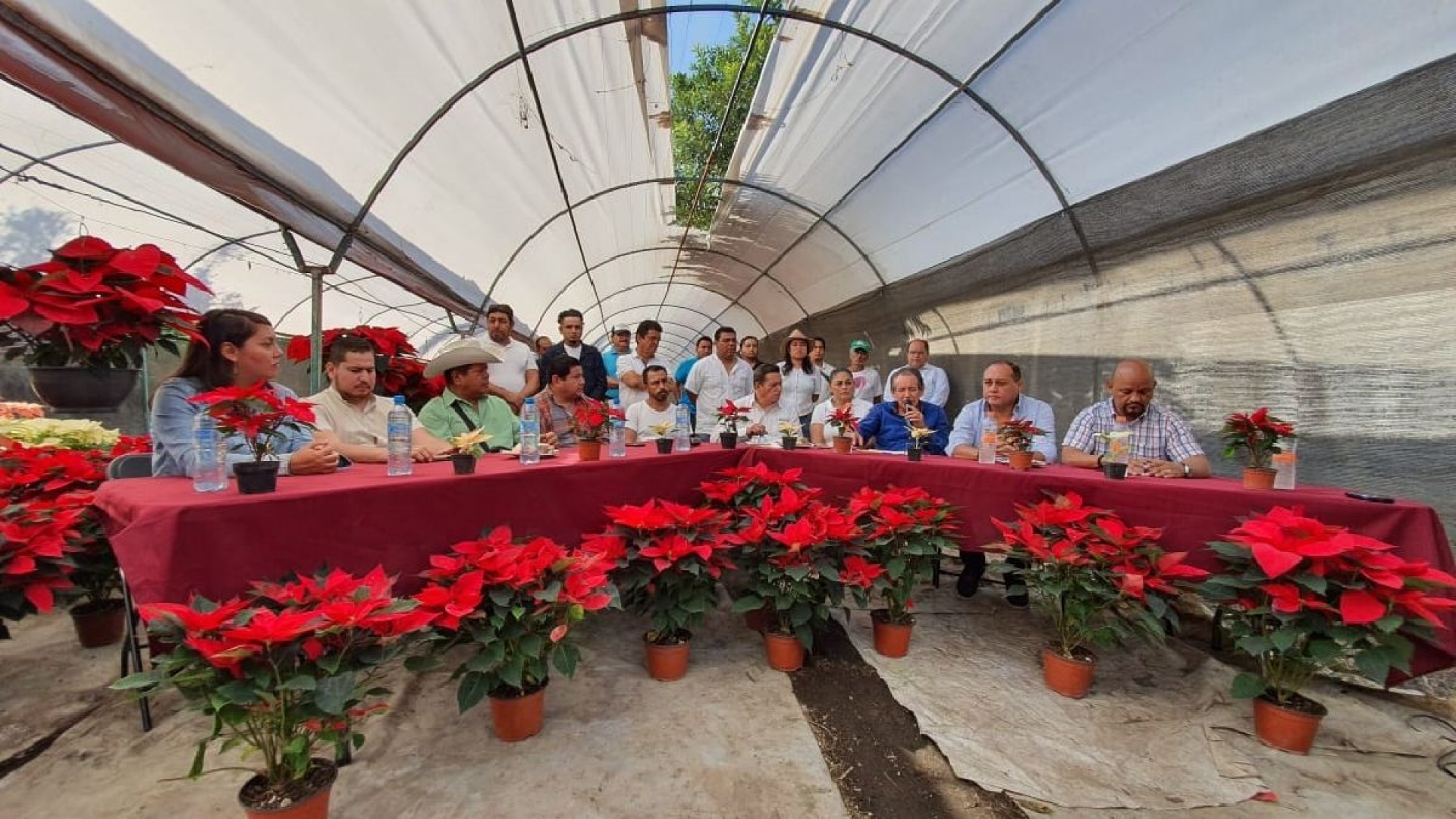 Mañana iniciará la “Expo Nochebuena 2019” en Cuautla