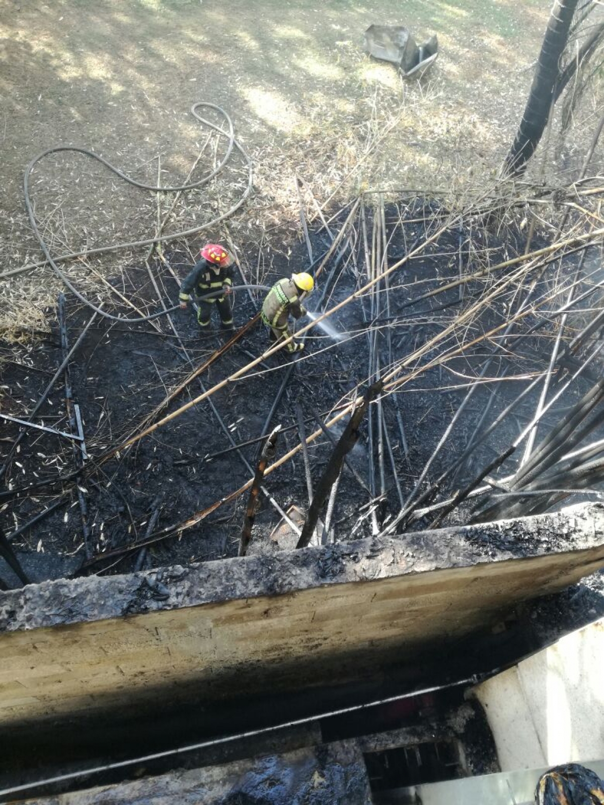 Incendio provoca desalojo en Lomas de la Selva