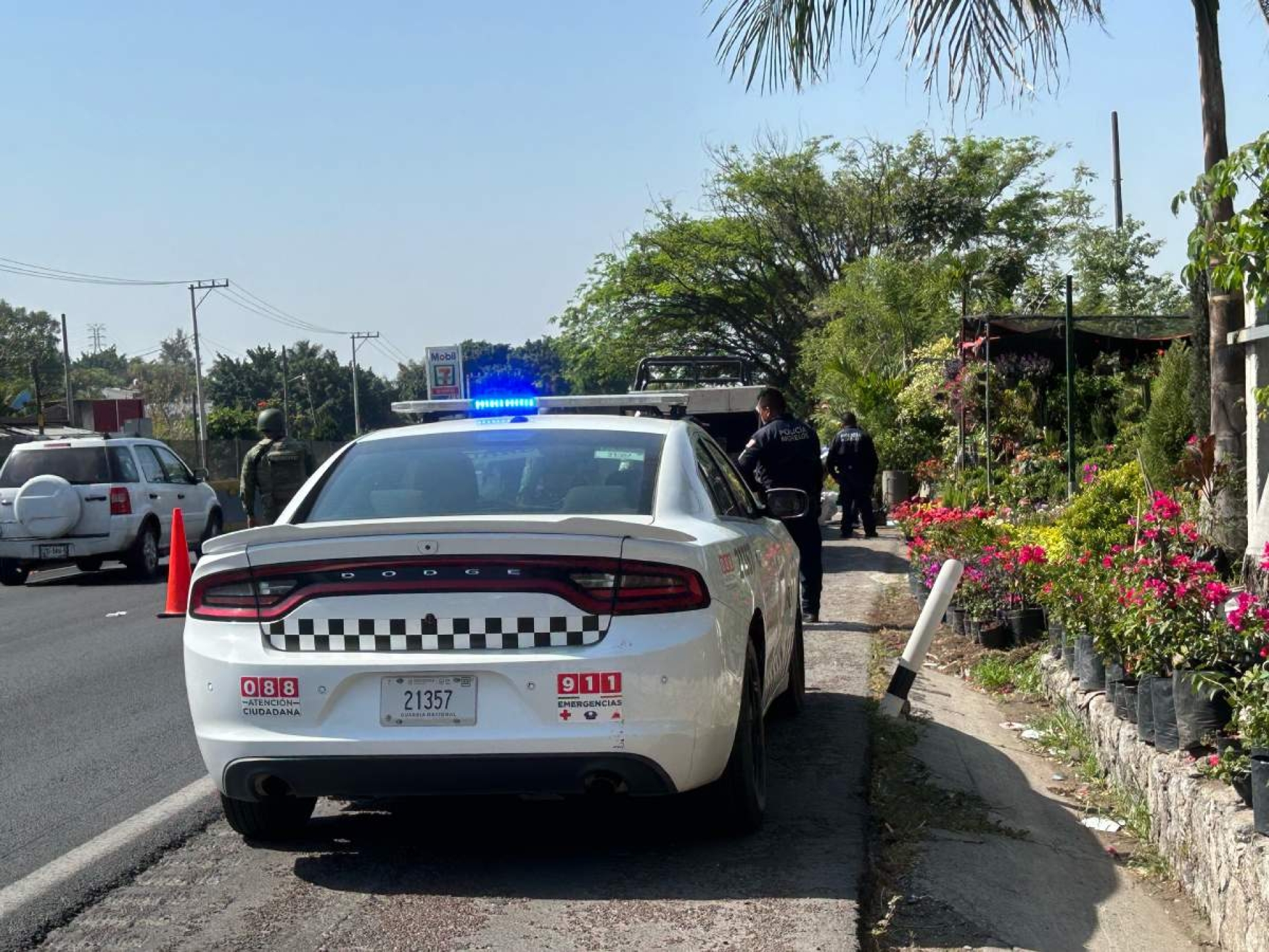 En cinco bolsas de plástico abandonan a hombre desmembrado en Temixco