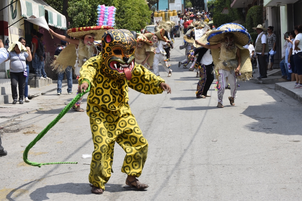 El tigre en Tetelpa
