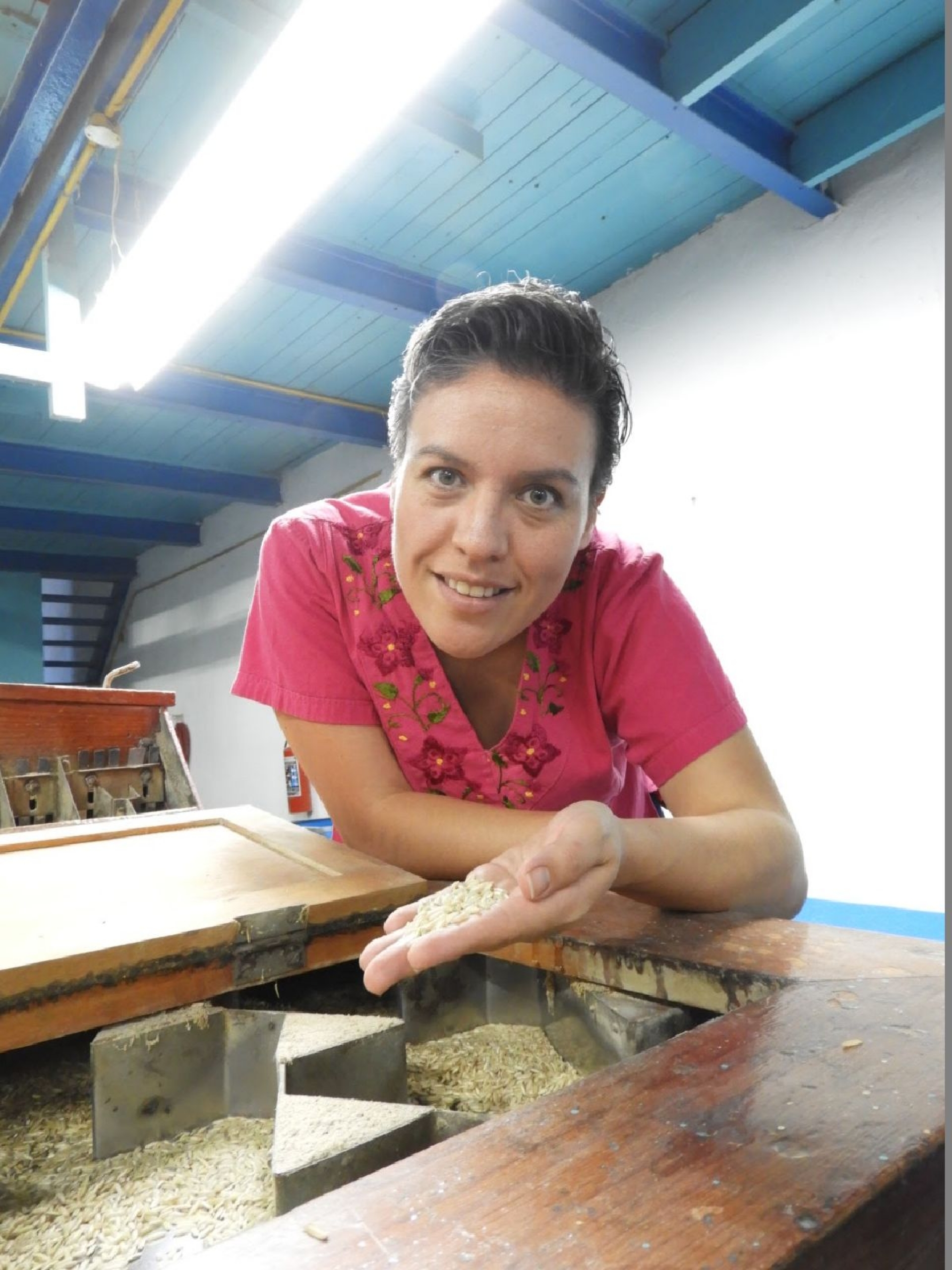 Una visita a la Arrocera Buenavista
