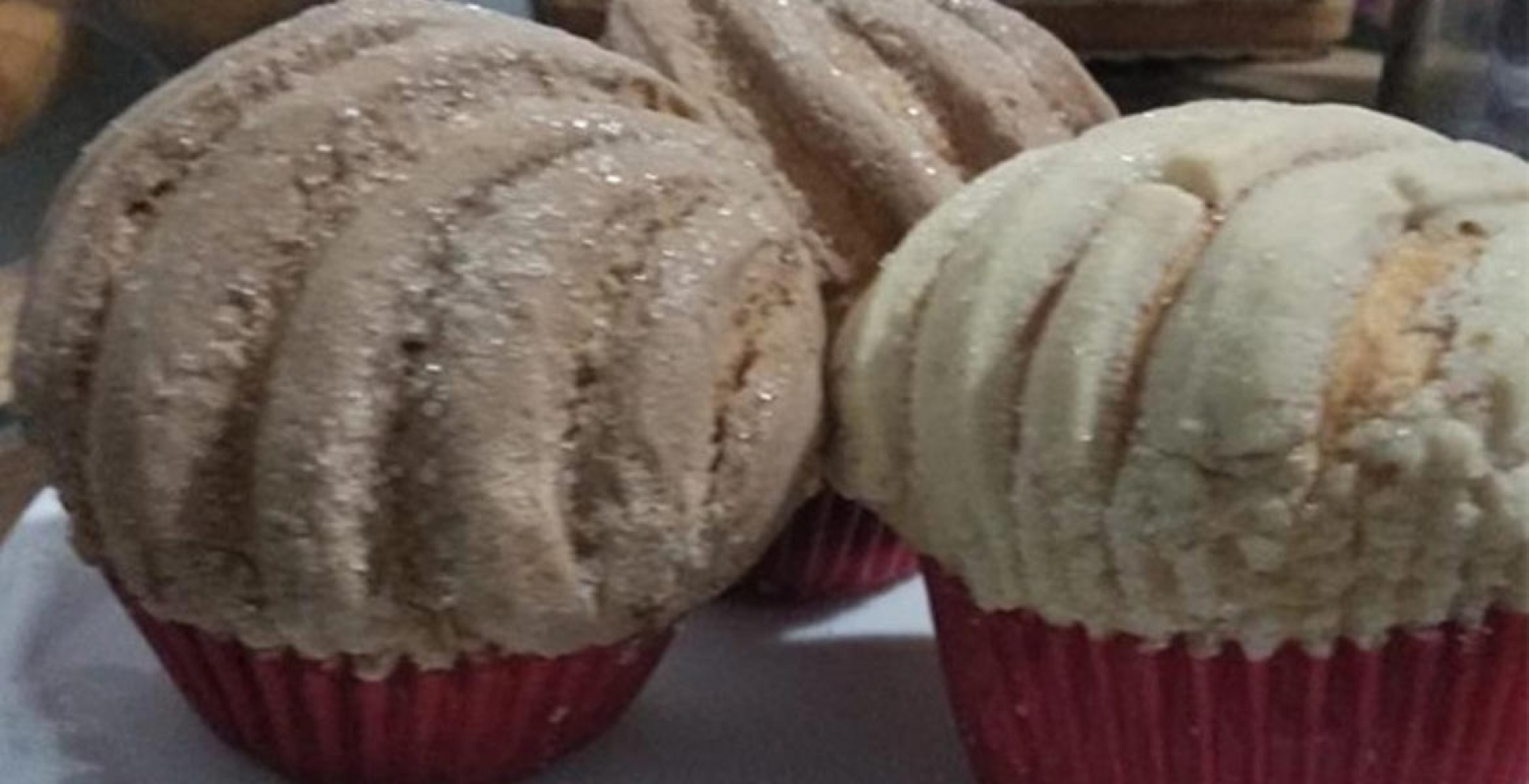 Manteconchas... ¿Cómo no se les había ocurrido antes?