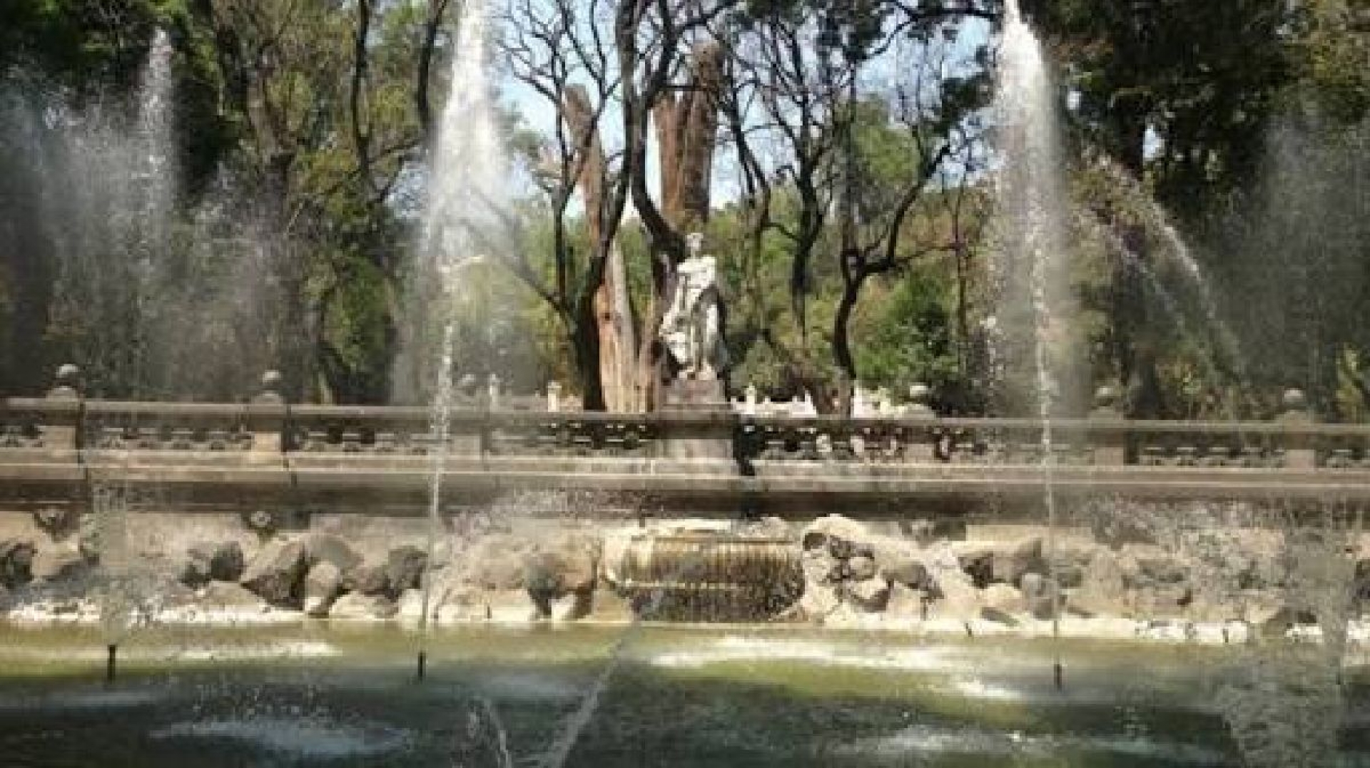 Un bosque para tus oídos