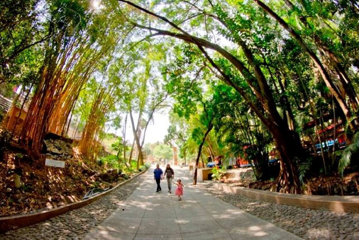 Operará trotapista con normalidad durante trabajos de conservación en Parque Chapultepec