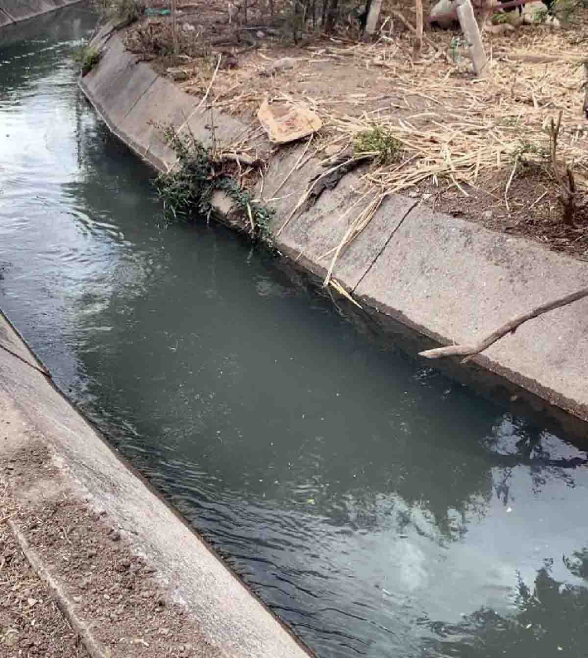 Afecta a piscicultores de la zona sur contaminación del canal de las Estacas