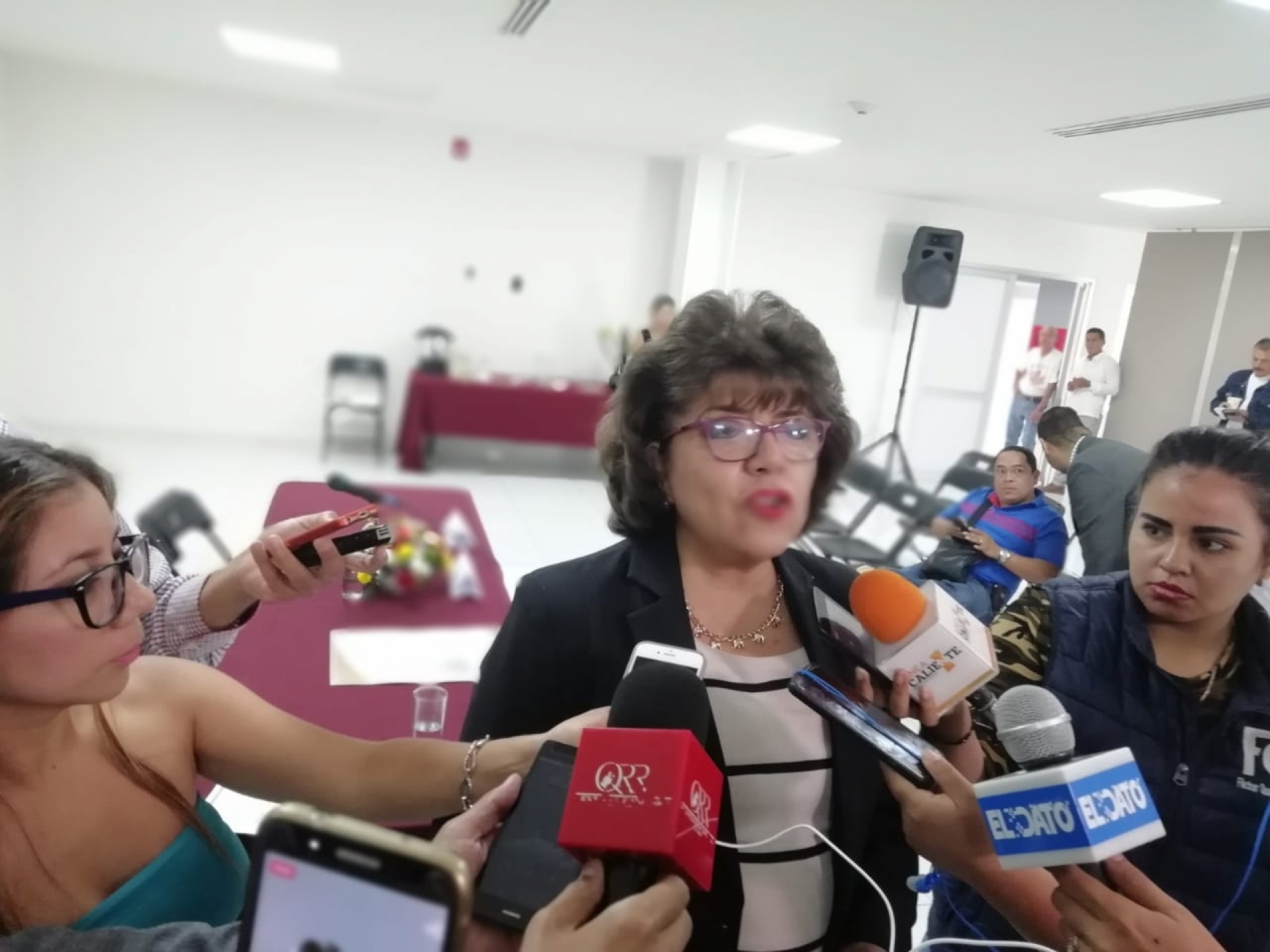 Sánchez Arano, a favor de la reforma educativa que se analiza en el Congreso de la Unión
