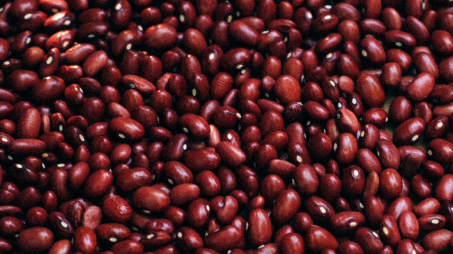 ¿Cómo hacer frijoles sin olla exprés y sin desperdiciar gas?