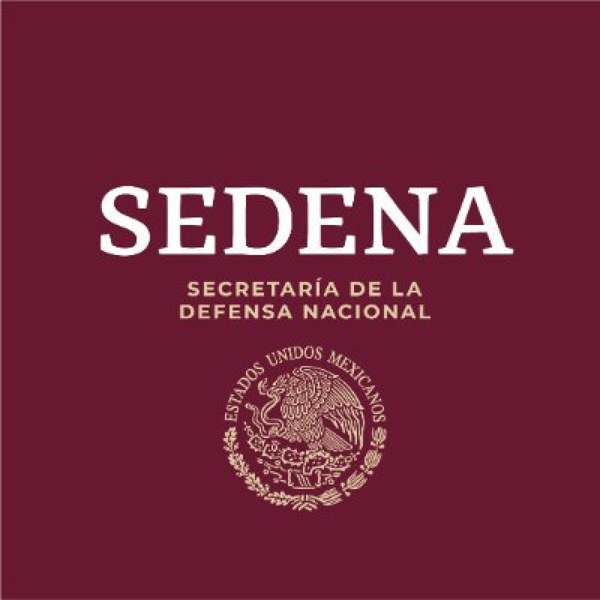 Se suman más elementos del Ejército Mexicano y Guardia Nacional a l Fuerza de Tarea 24-1 Región Militar
