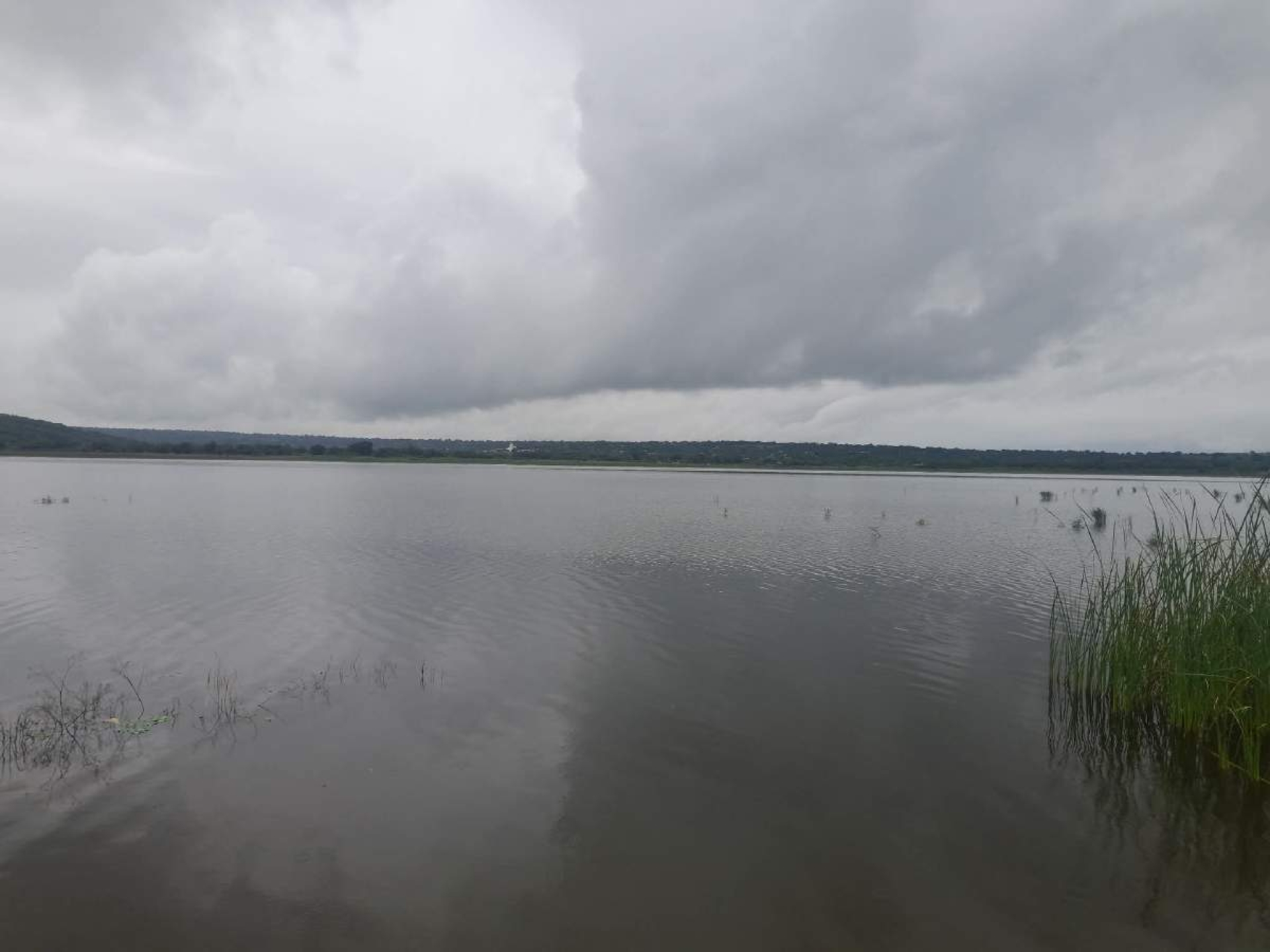 Prevalecen descargas de aguas negras en la laguna de Coatetelco