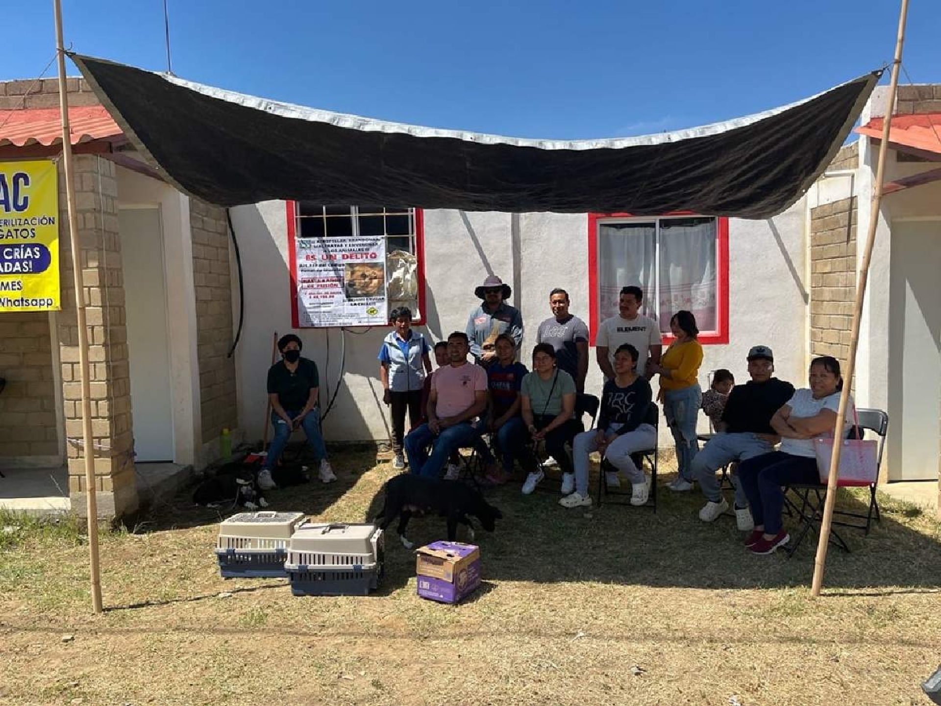 Realizan campaña de esterilización de mascotas en Ocuituco