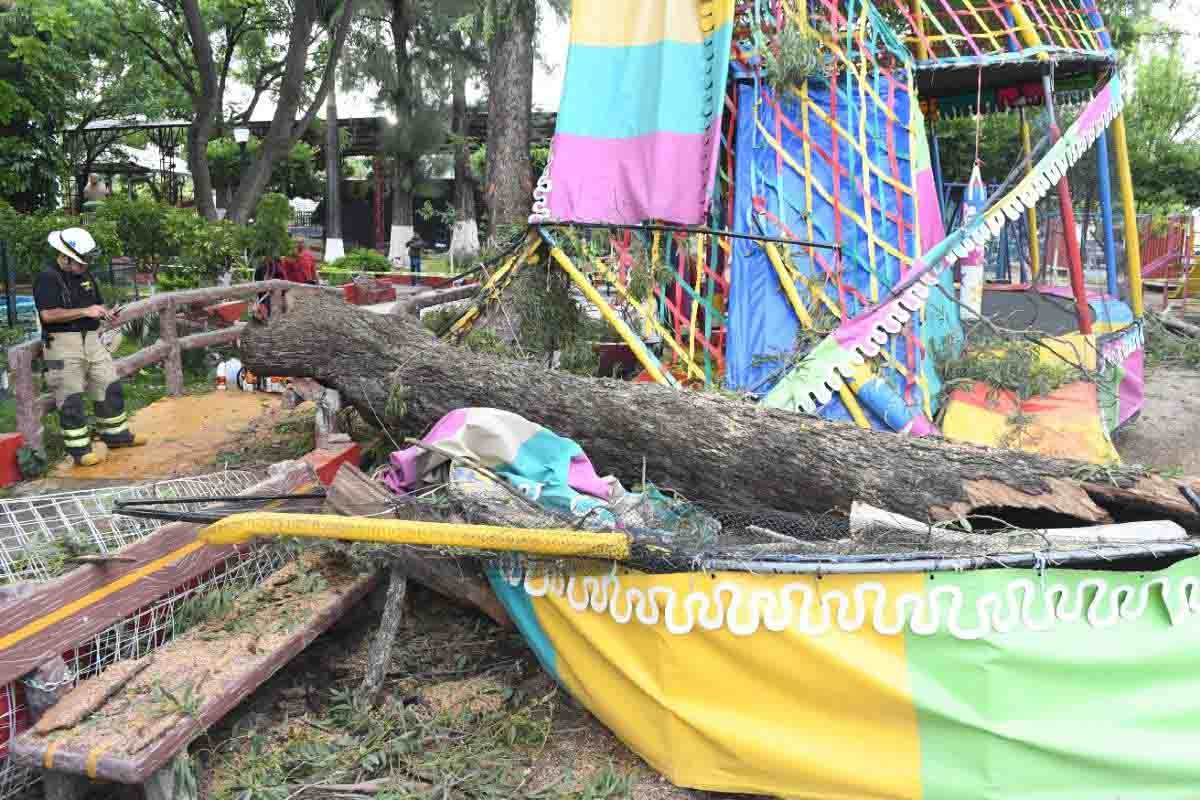 Viento provoca caída de árboles en colonias de Cuautla