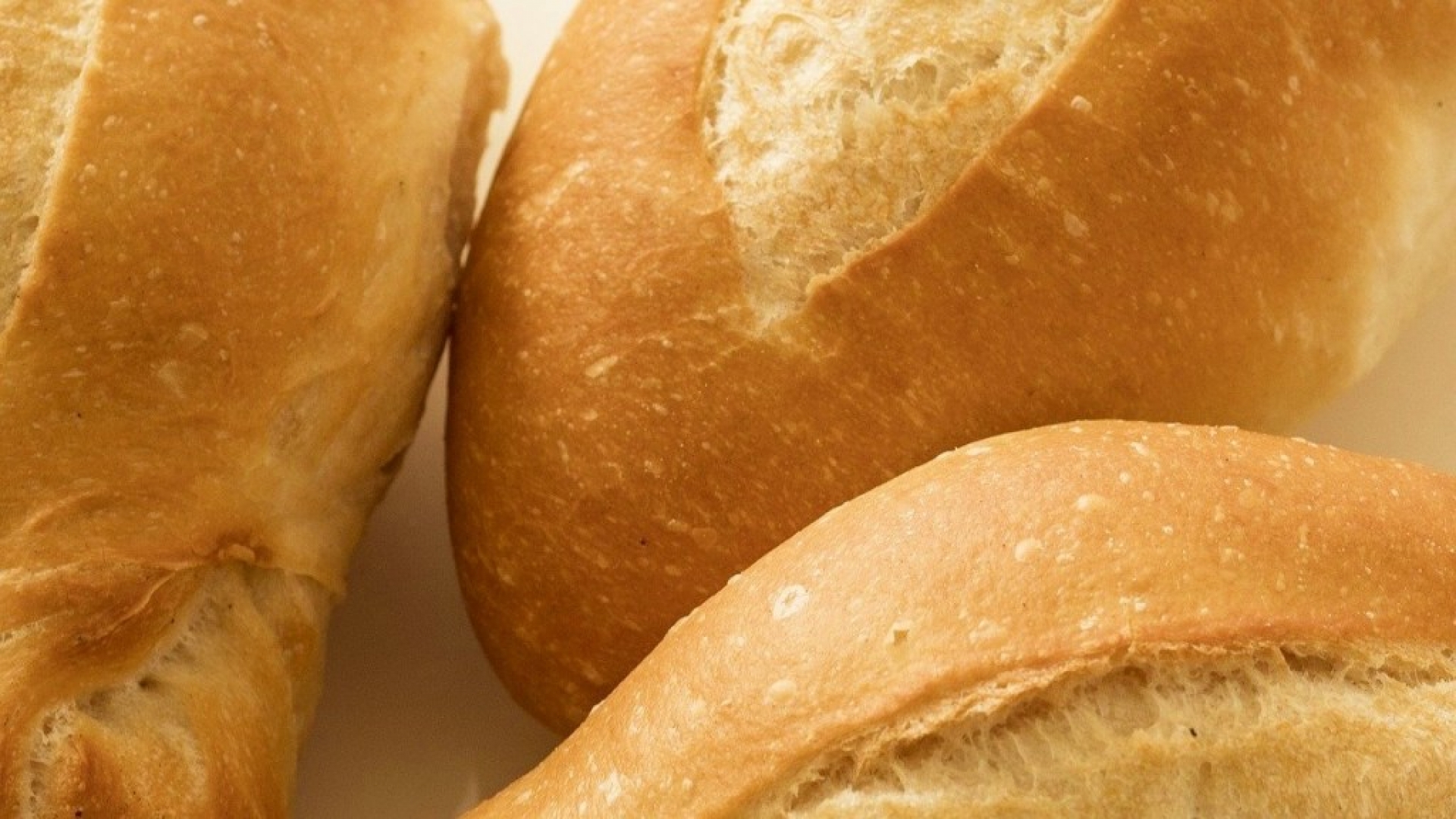 ¿Cómo hacer bolillos en casa? Solo necesitas 5 ingredientes