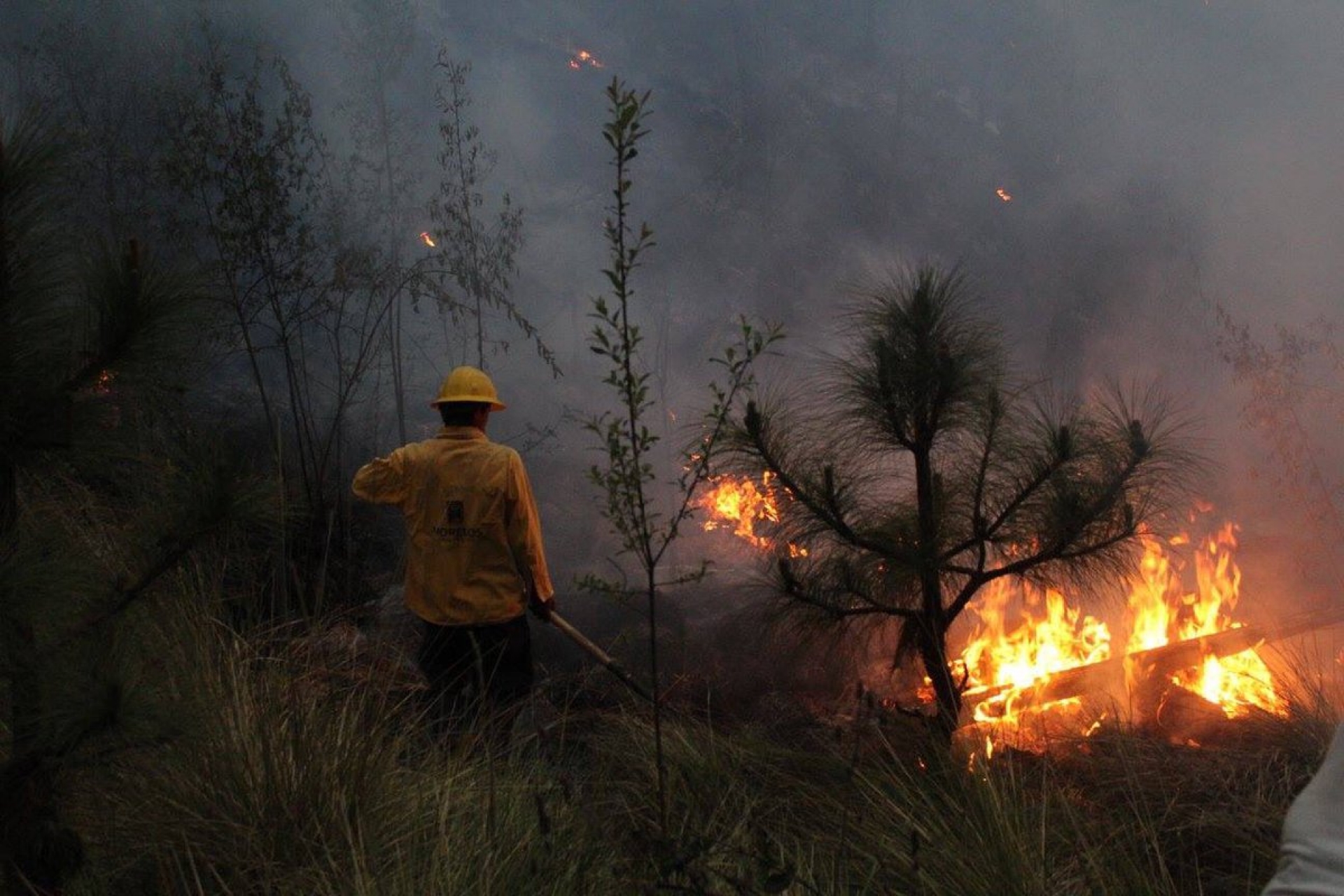 Continúa incendio forestal en paraje de Huitzilac