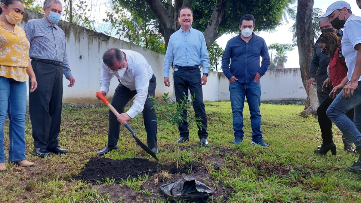 Encabeza alcalde de Jiutepec jornada de forestación en escuela pública