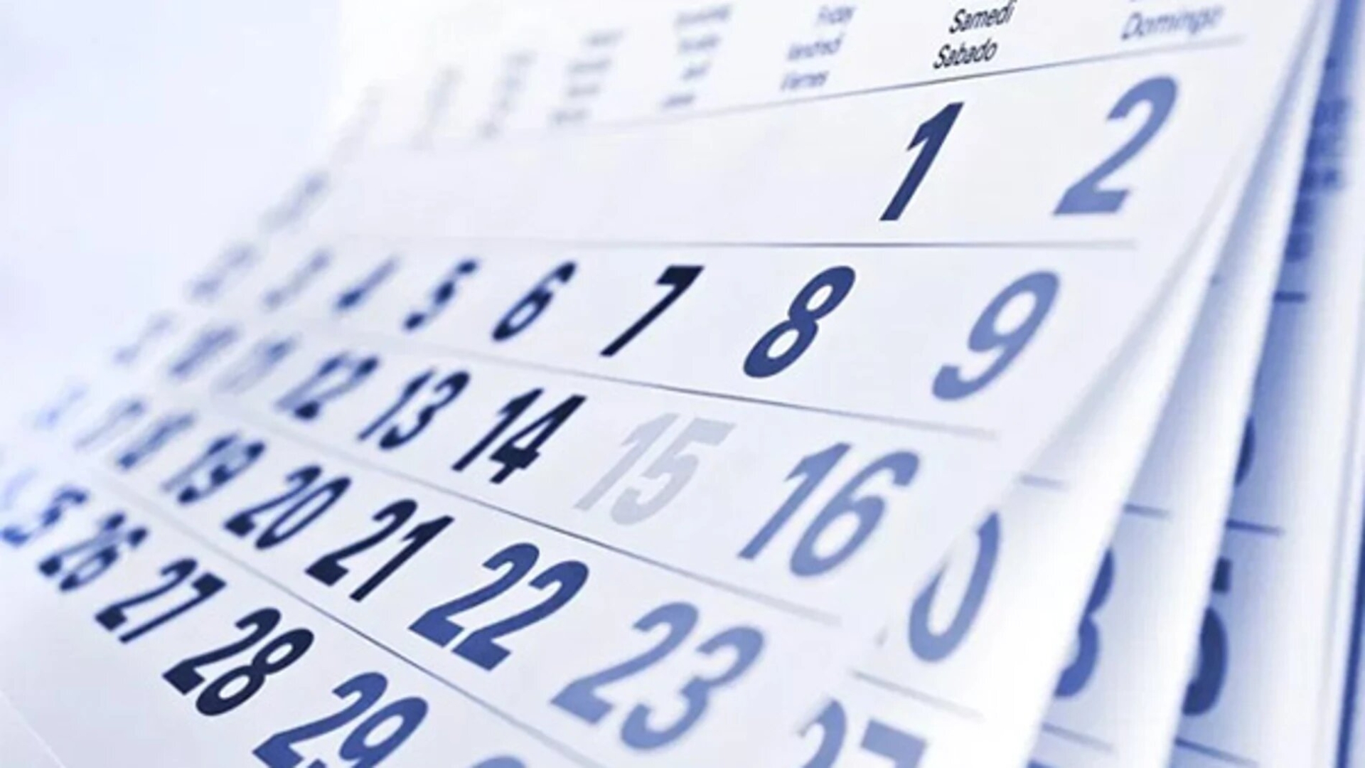 SEP: Marzo tendrá tres puentes, conoce las fechas