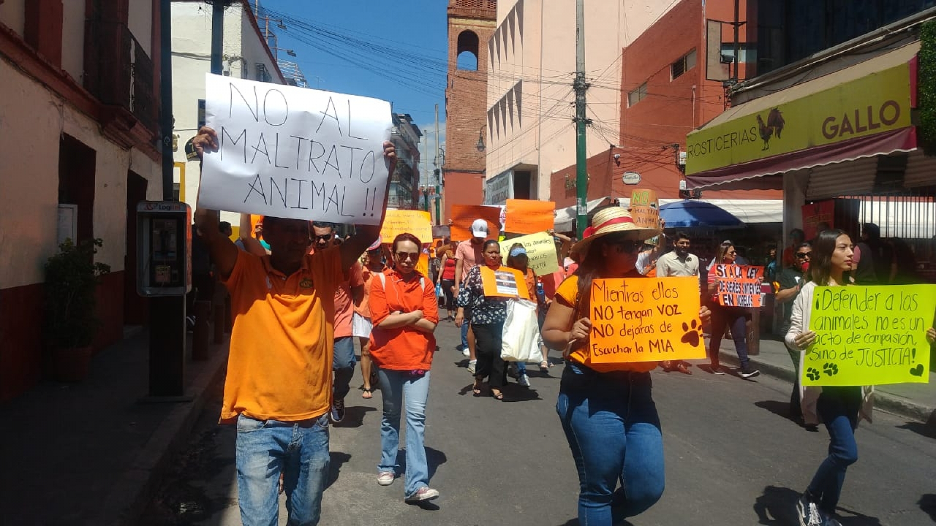 Se manifiestan contra el maltrato animal, en Cuernavaca