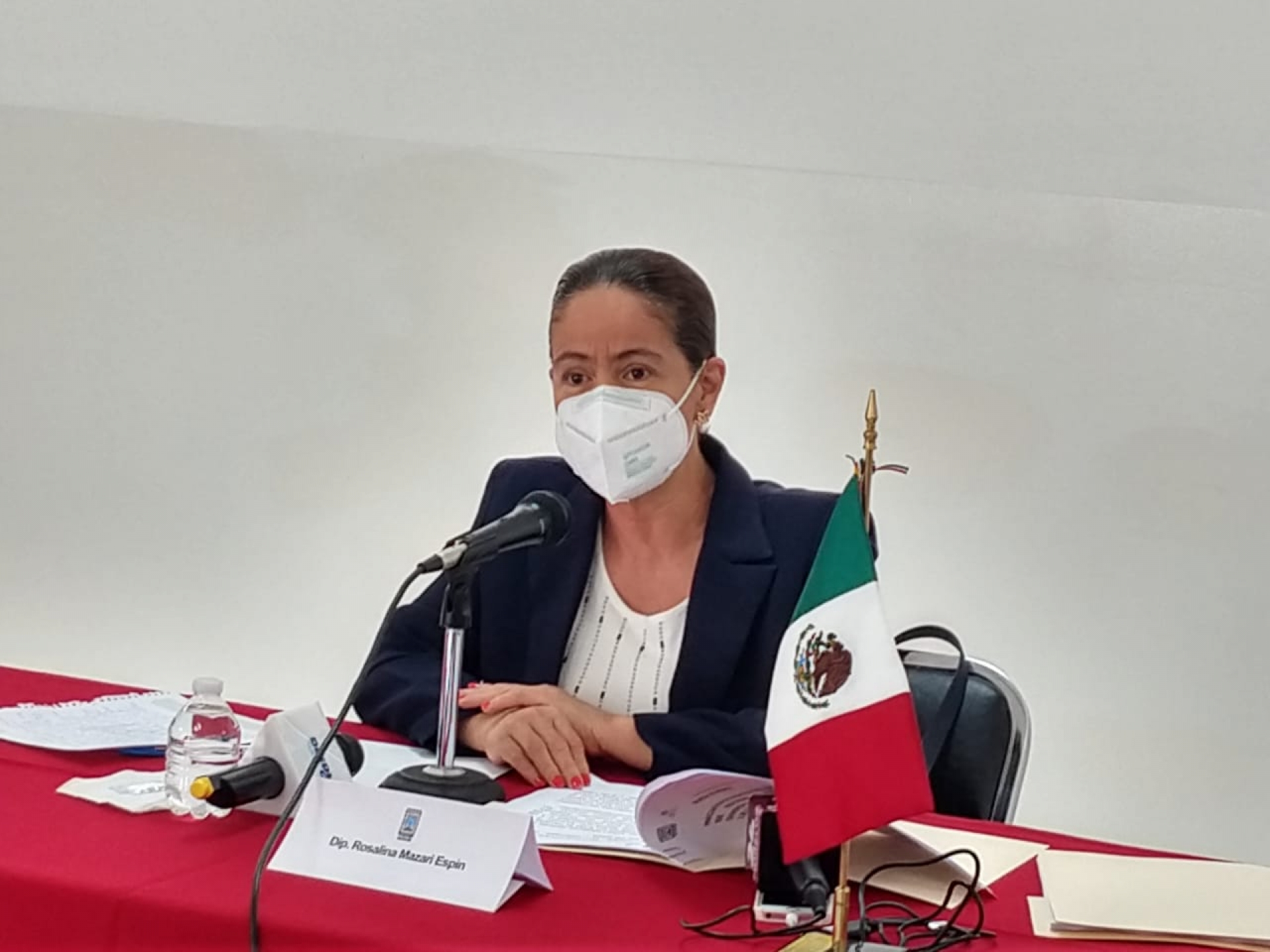 Presentará diputada iniciativa de la 'Ley Quemón'