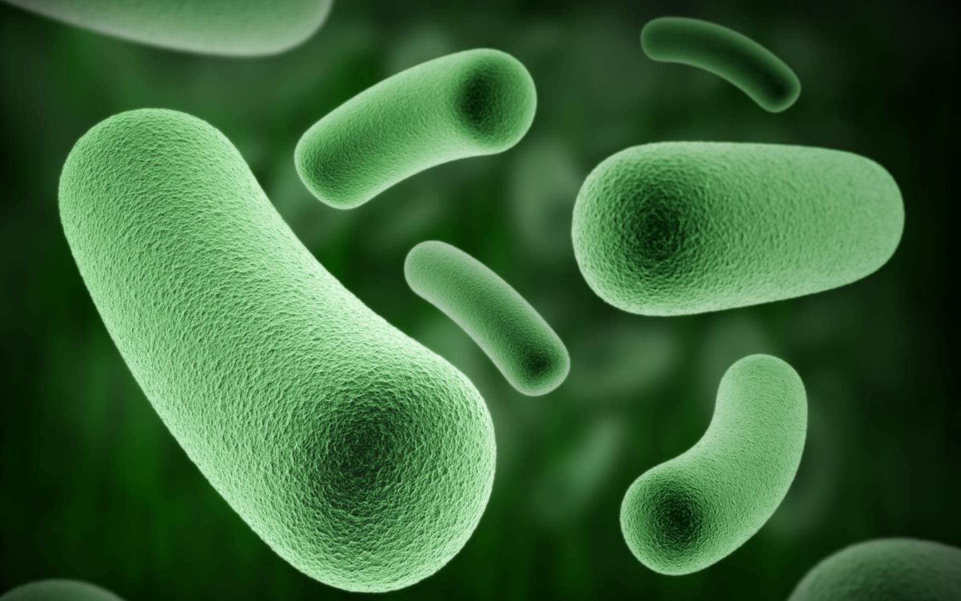 Brote de Klebsiella oxytoca está controlado, asegura Secretaría de Salud Edomex