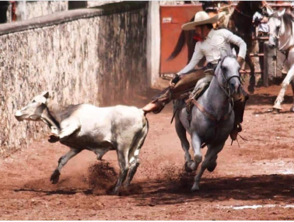 Disminuye el número de charros en la región sur